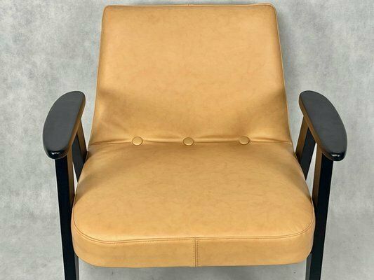 photo for sale Mid Century Polish 366 Armchair By Jozef Chierowski, 1960s