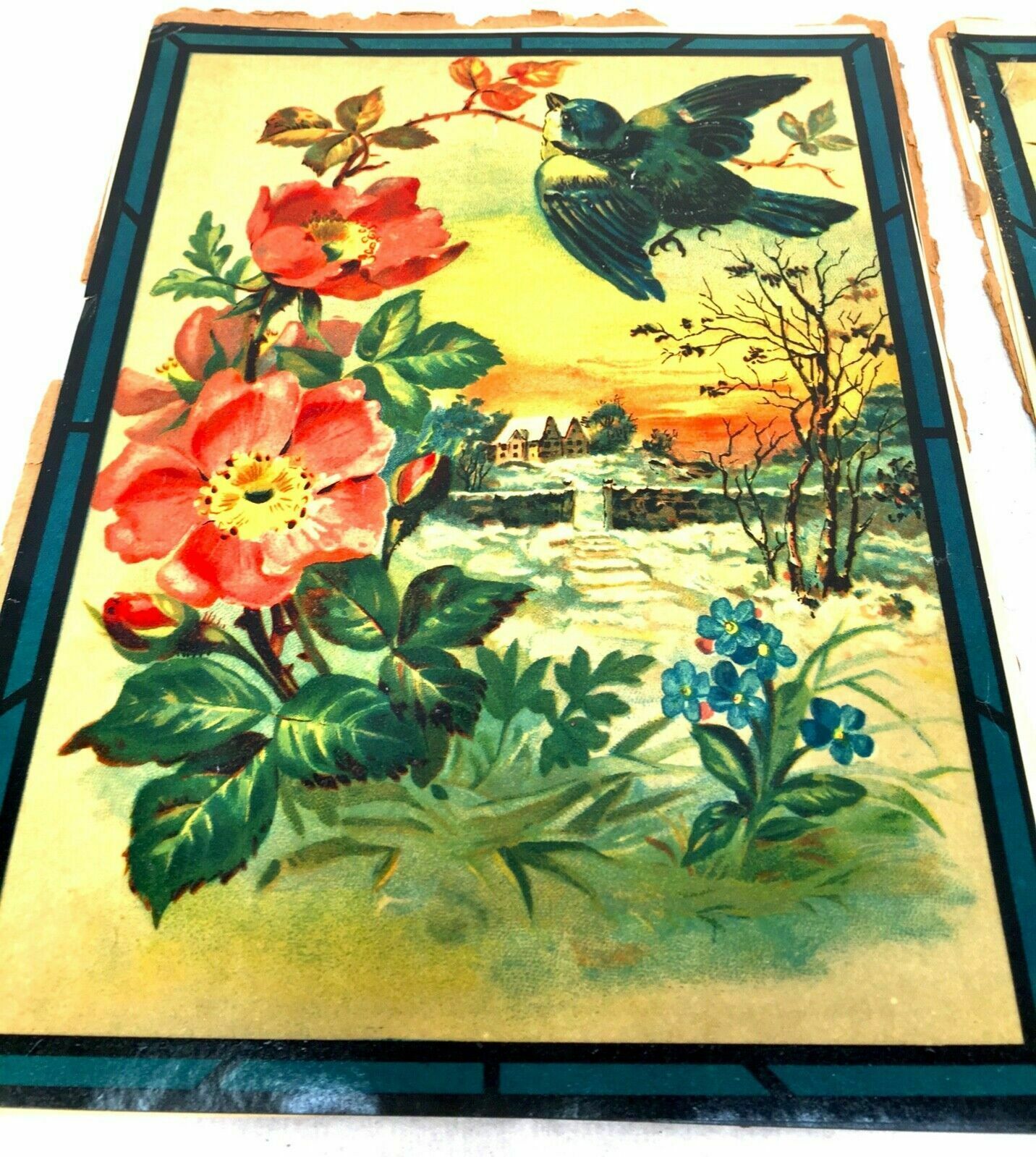 Antique Set Of 12 Victorian Crystographs For Stained Glass Decoration / Art photo Art