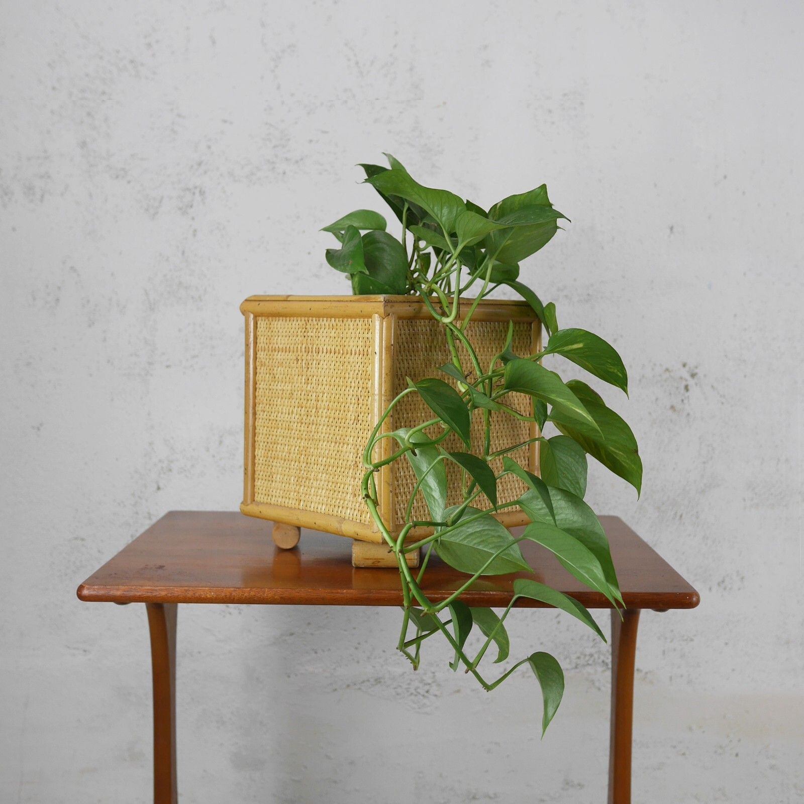 Large Vintage Mid Century Bamboo Cane & Rattan Planter Plant Pot #102714 photo furniture