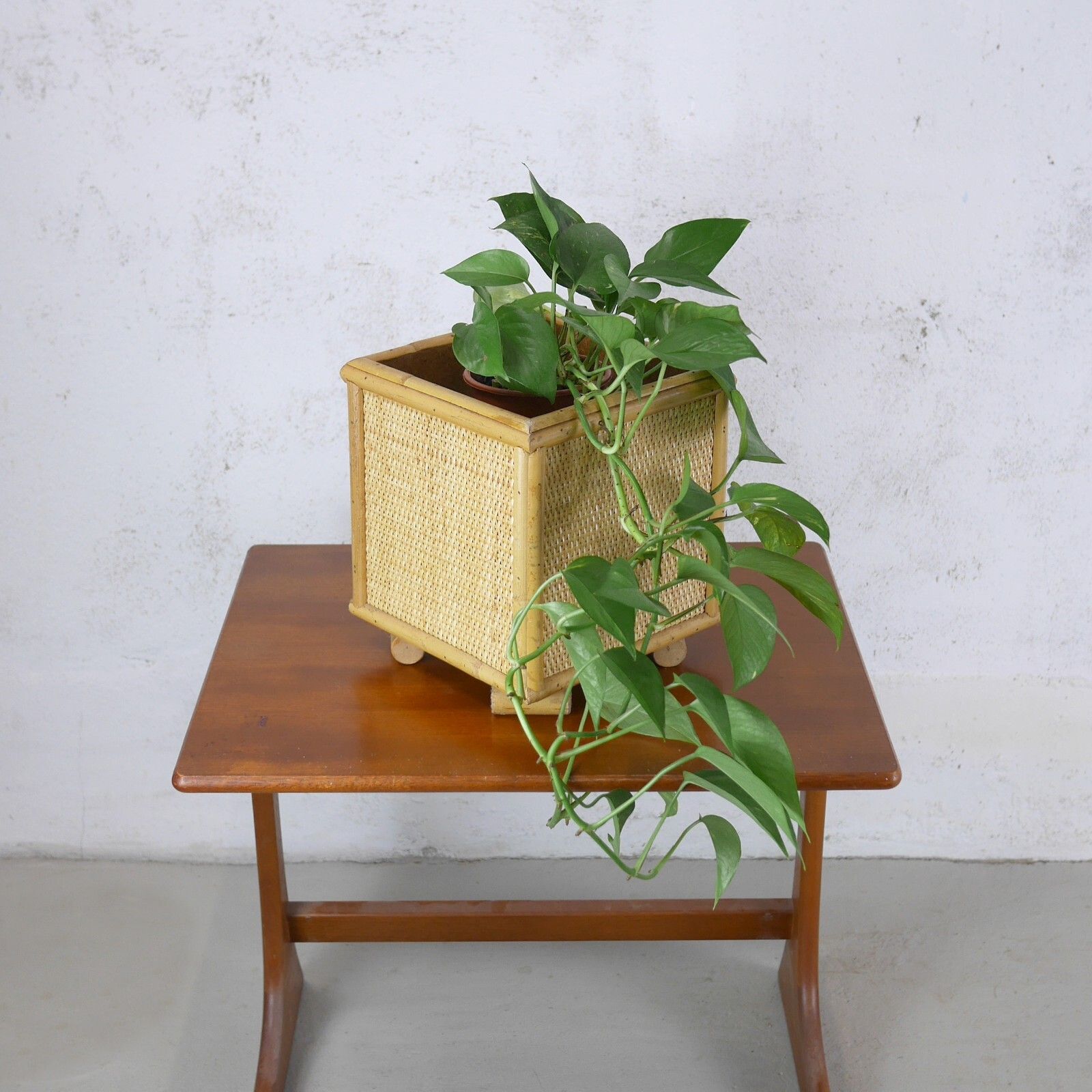 Large Vintage Mid Century Bamboo Cane & Rattan Planter Plant Pot #102714 photo for sale
