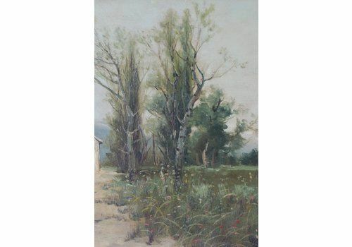 Spaans Landschap Met Boerderij En Bloemenweiland photo Kunst