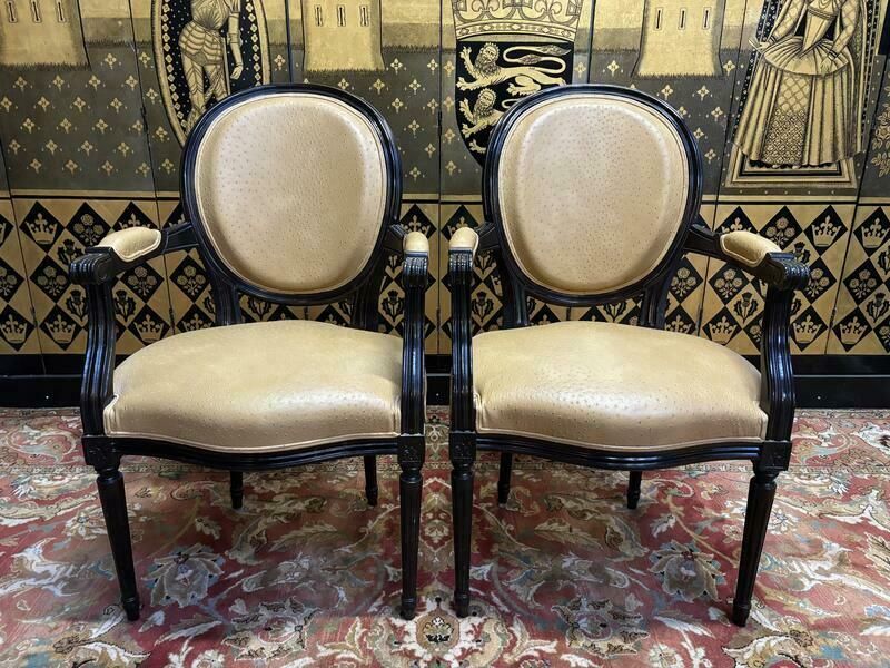 Paire De Fauteuils De Style Louis  XVI photo furniture
