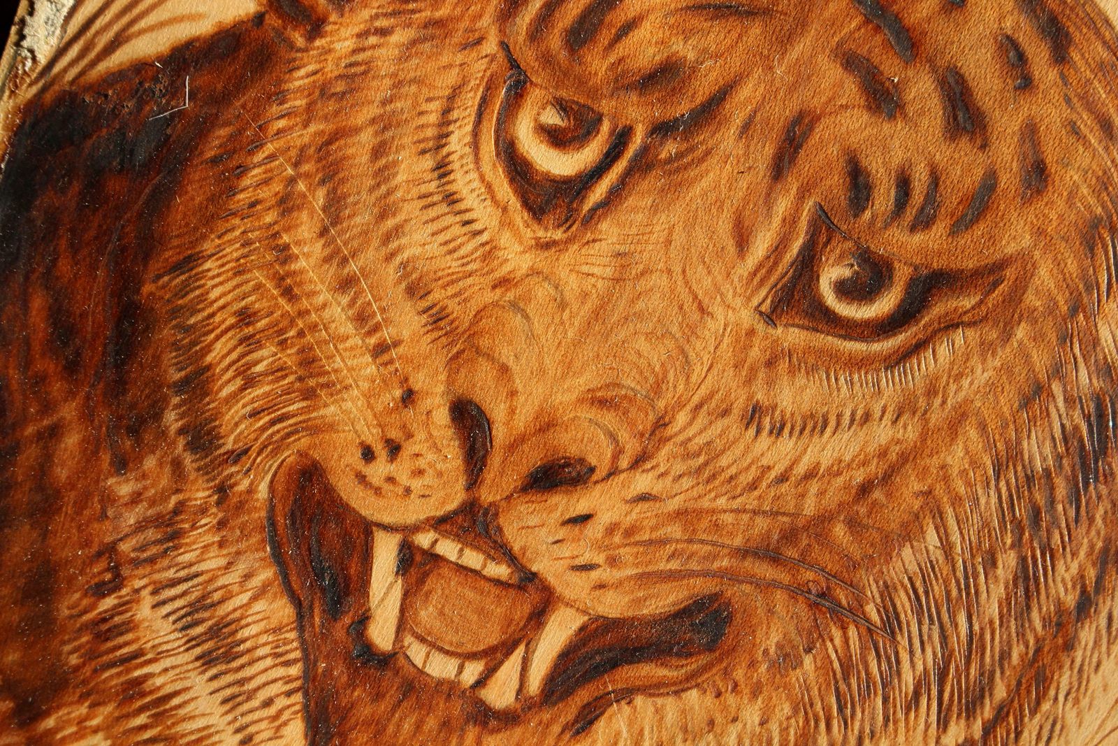 Early 20th C Naive Pokerwork Panels Of Tigers By Edward Guest Folk Art photo vinterior
