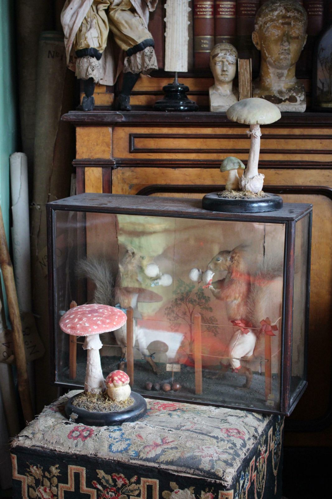 Early 20th Century Death Cap & Fly Agaric Model Fungi Natural History photo furniture