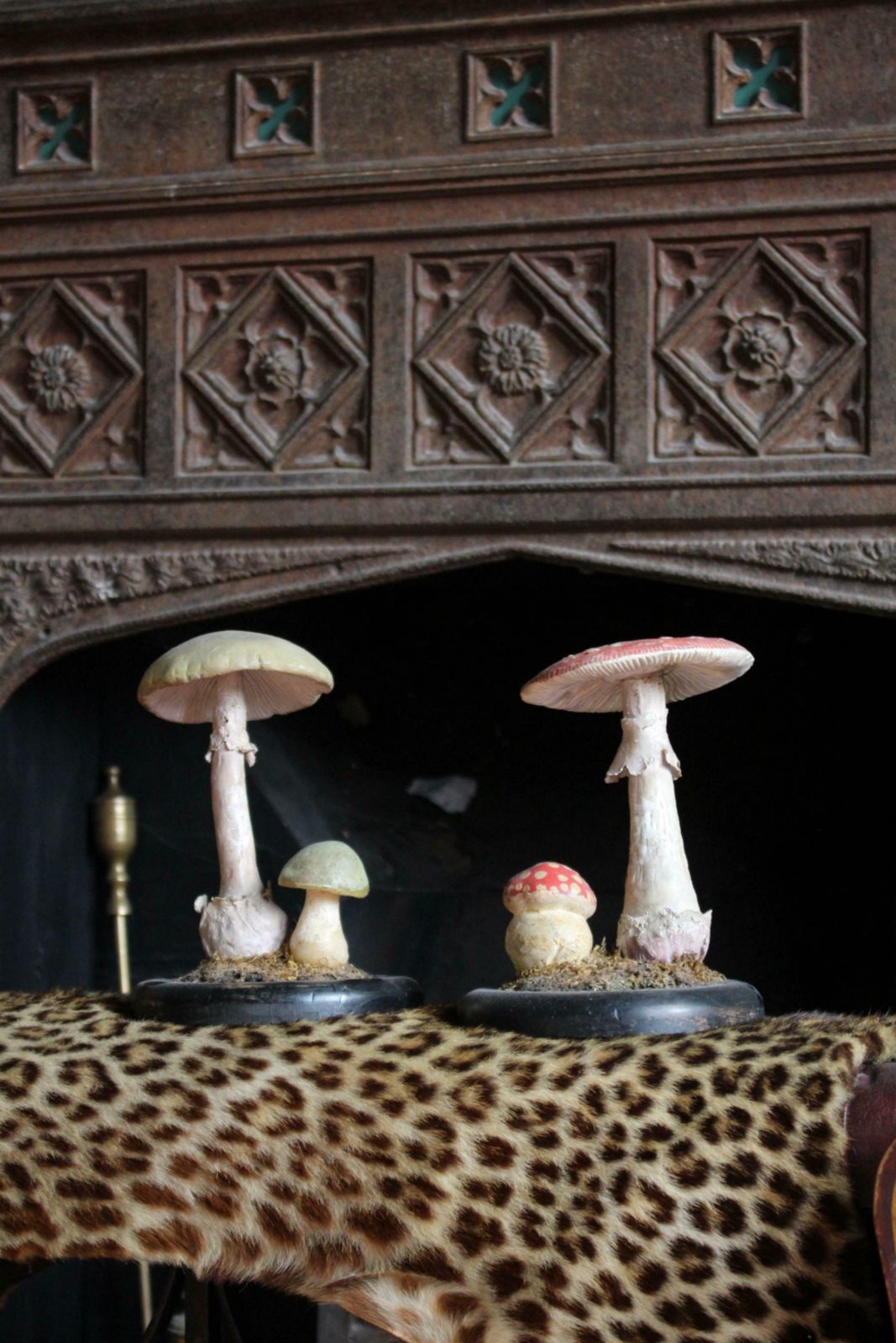 Early 20th Century Death Cap & Fly Agaric Model Fungi Natural History photo 710.0