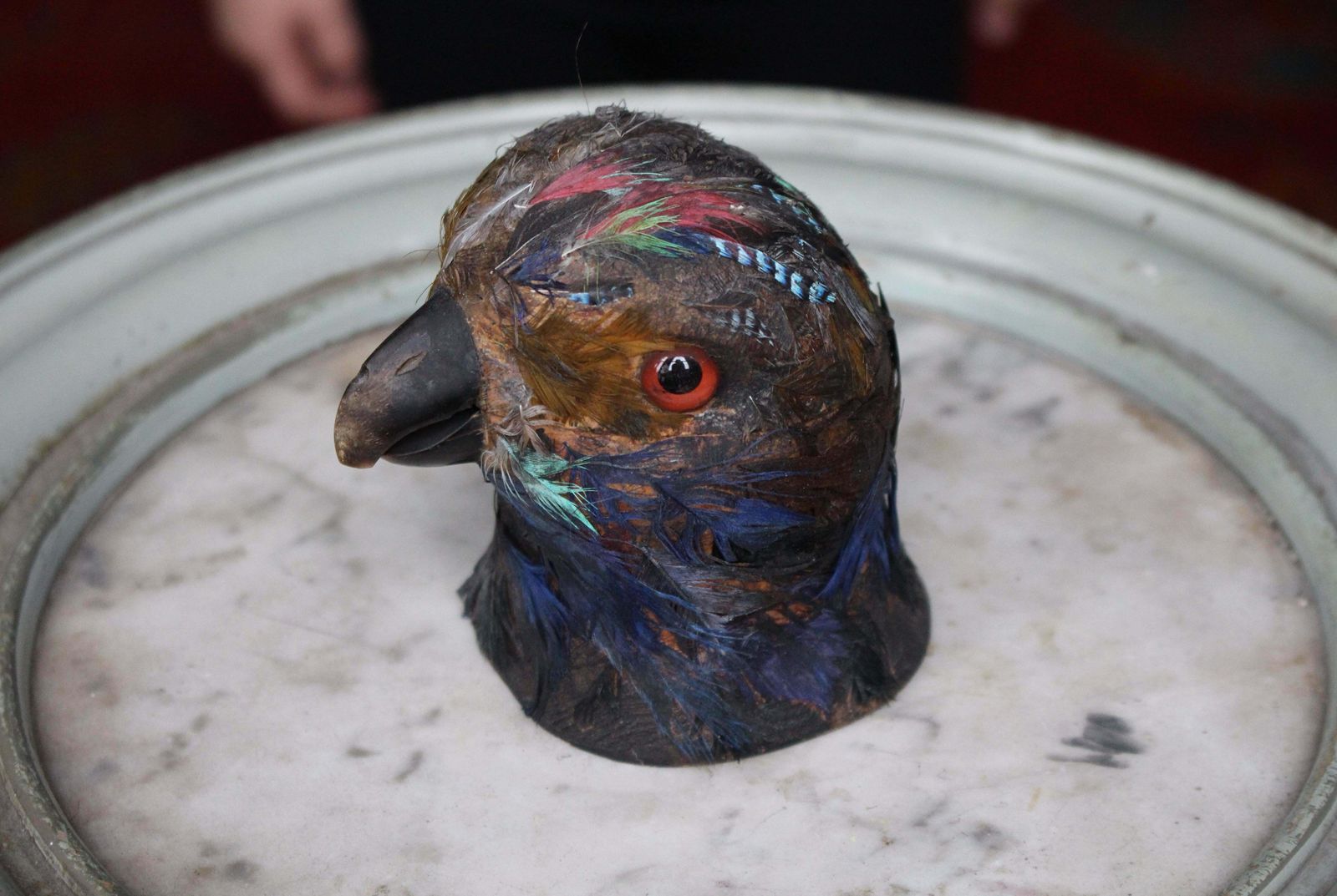 Early 20th Century Parrot Ink Well, Glass Eyes, Hand Dyed Feathers photo for sale