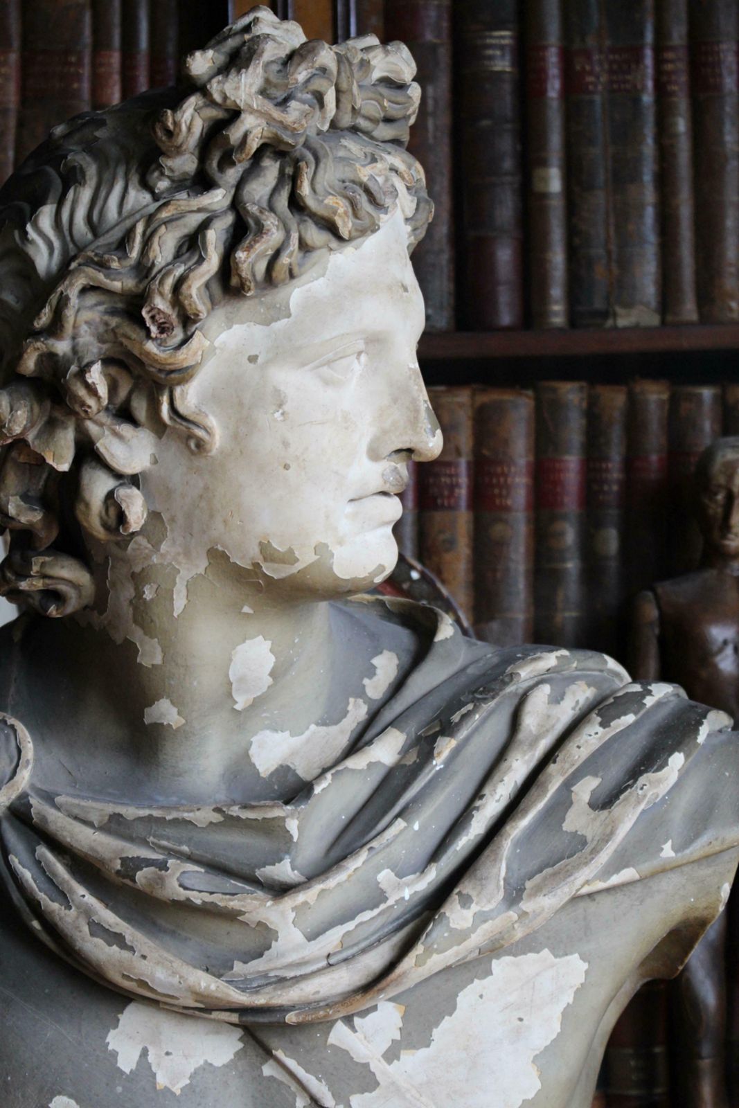 19th C Classical Plaster Bust Apollo By Louis Brugiotti London Grand Tour photo 4595.0