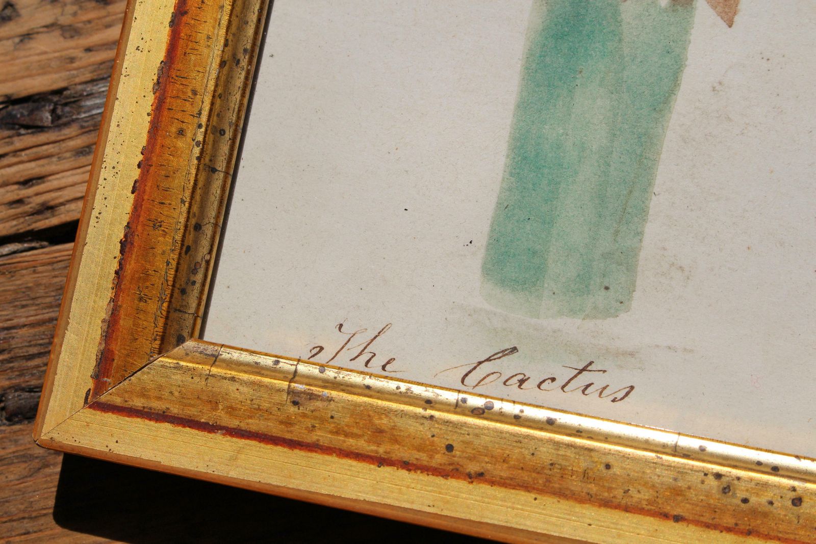 American School Circa 1840 Theorem Painting Of A Cactus Giltwood Frame Folk Art photo 611.0