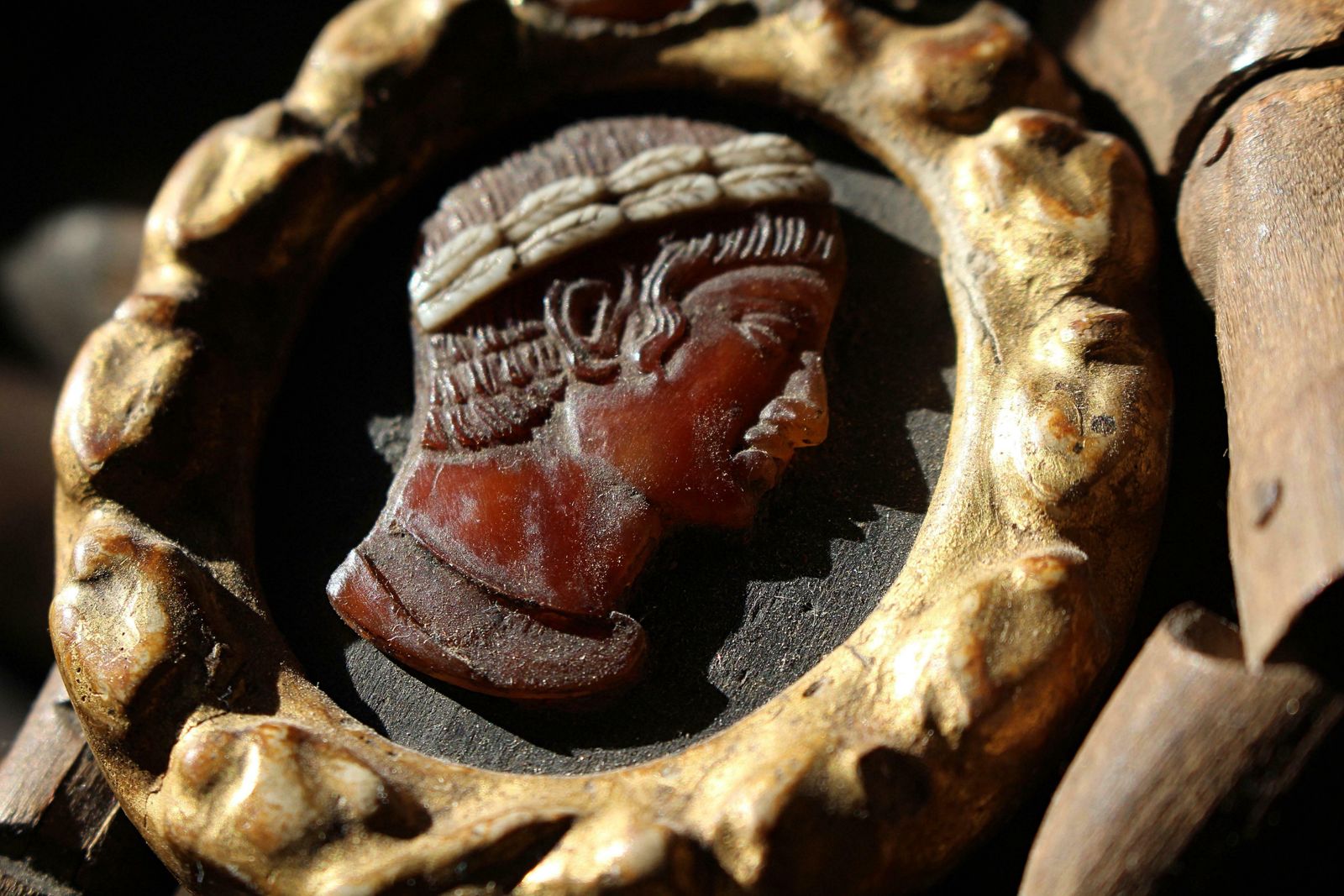 Grand Tour 18th Century Gilt Framed Classical Carved Shell Cameo "Dario Re' photo for sale