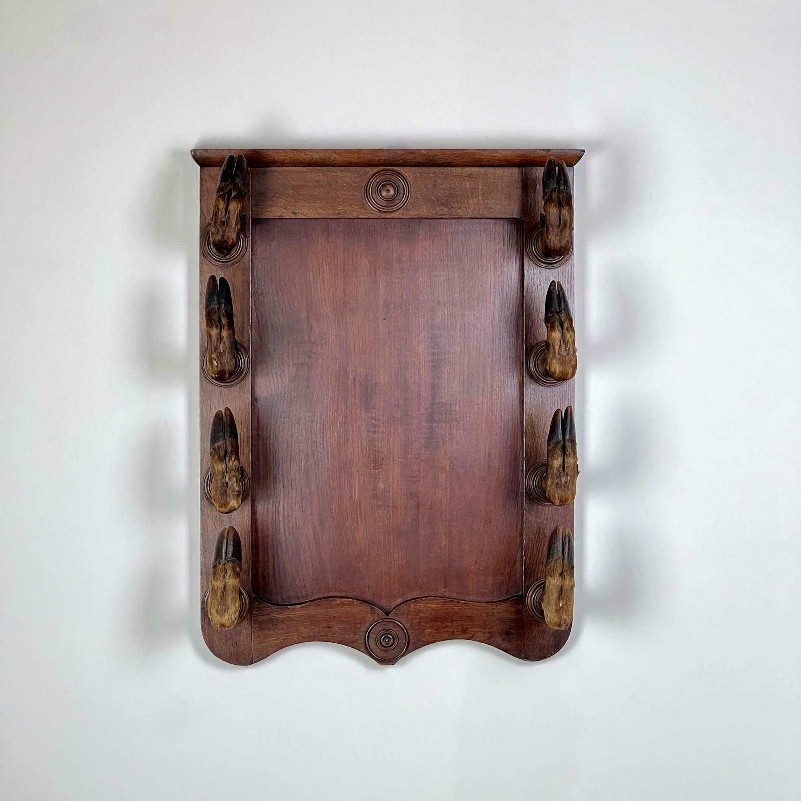 Antique Continental Oak Taxidermy Gun Or Coat Rack photo furniture