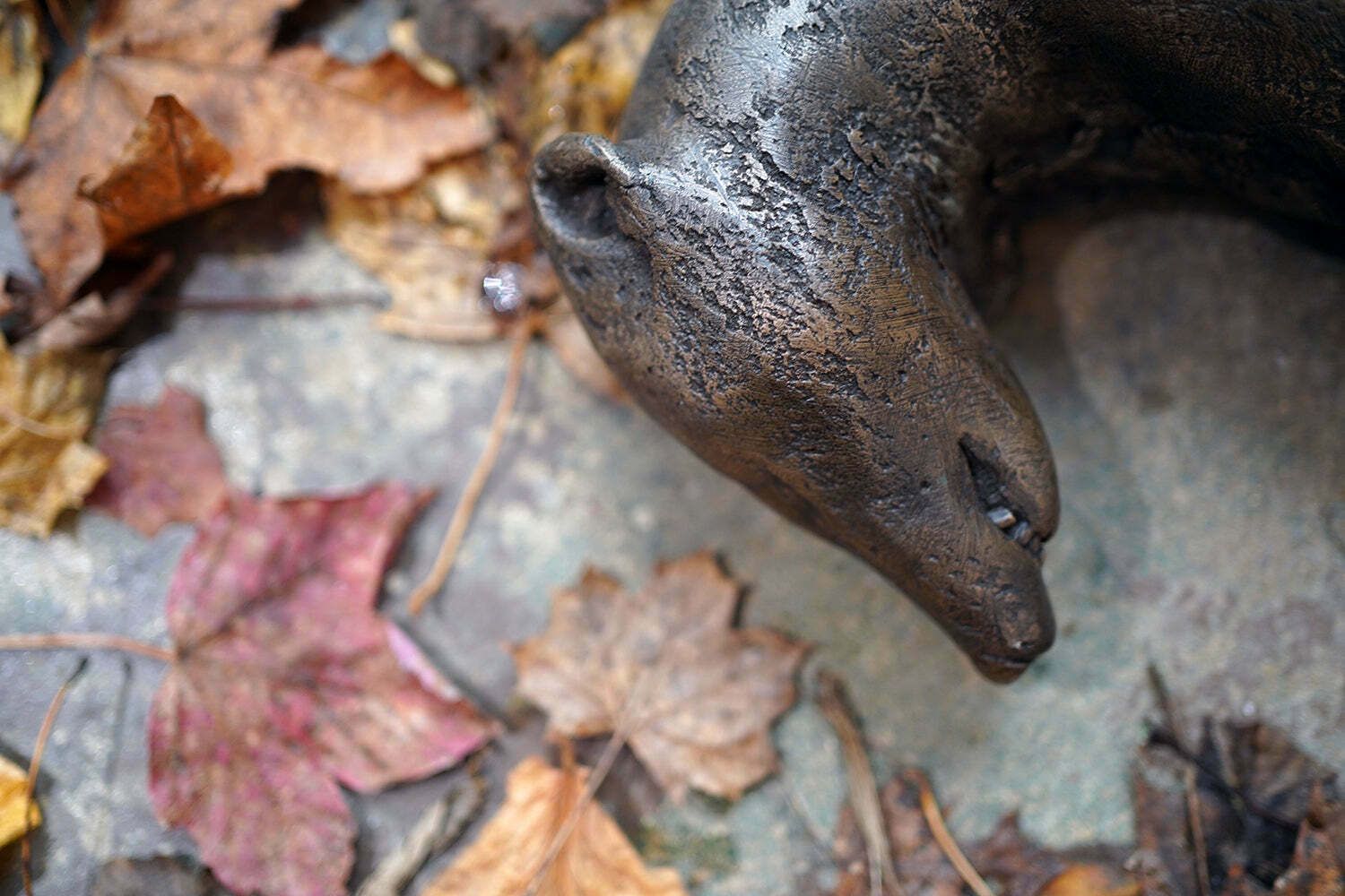 Beth Carter; Badger; Bronze Resin; 3/15 photo Art