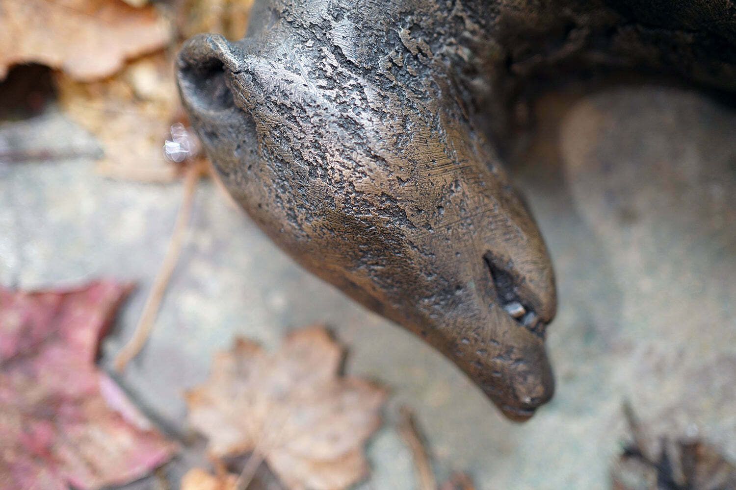 Beth Carter; Badger; Bronze Resin; 3/15 photo vinterior