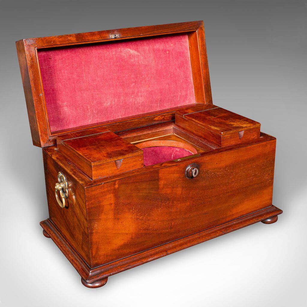 Antique Loose Tea Caddy, English, Dual Compartment Beverage Case, Regency, 1820 photo furniture