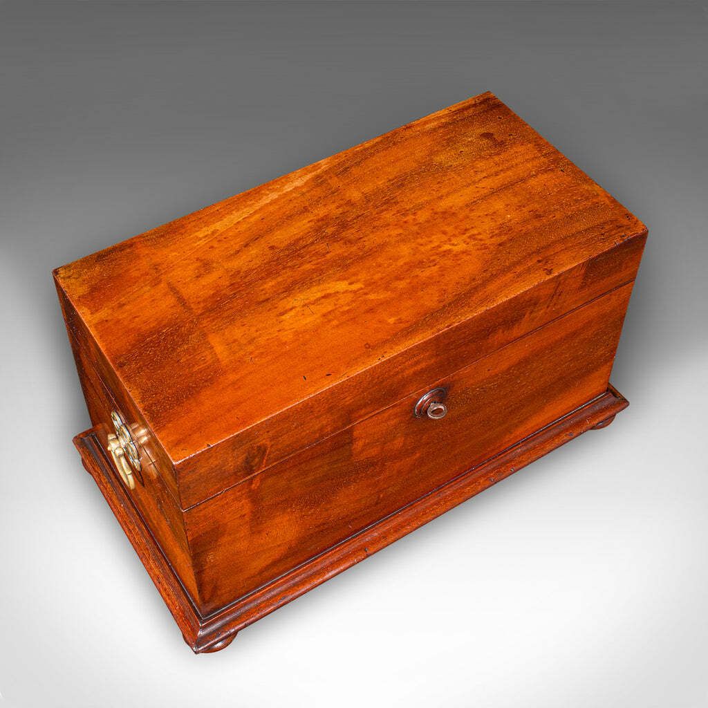 Antique Loose Tea Caddy, English, Dual Compartment Beverage Case, Regency, 1820 photo buy