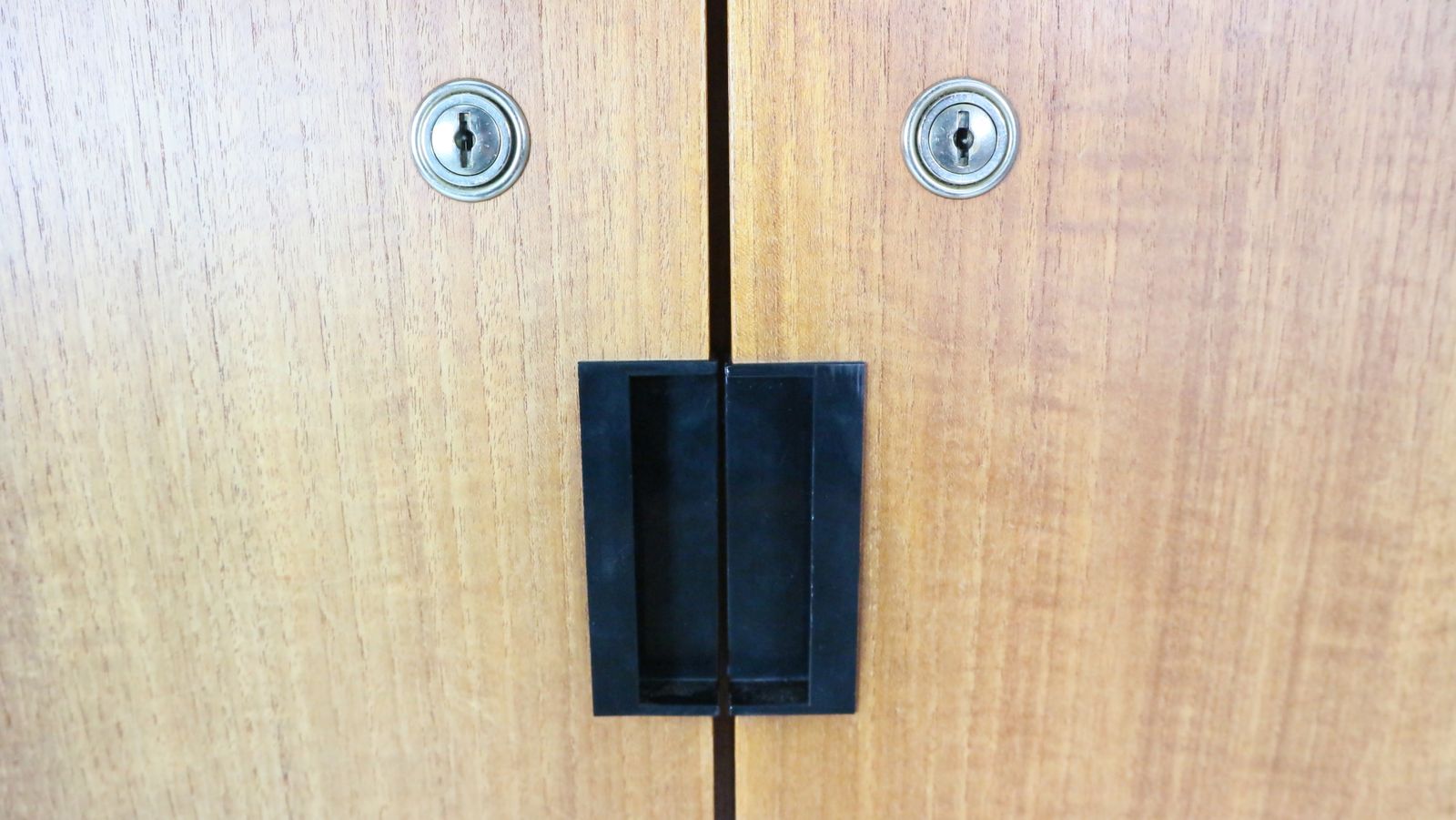 2500.0 Cees Braakman Japanese Series "Ku14" Teak Wardrobe For Pastoe, 1960s photo