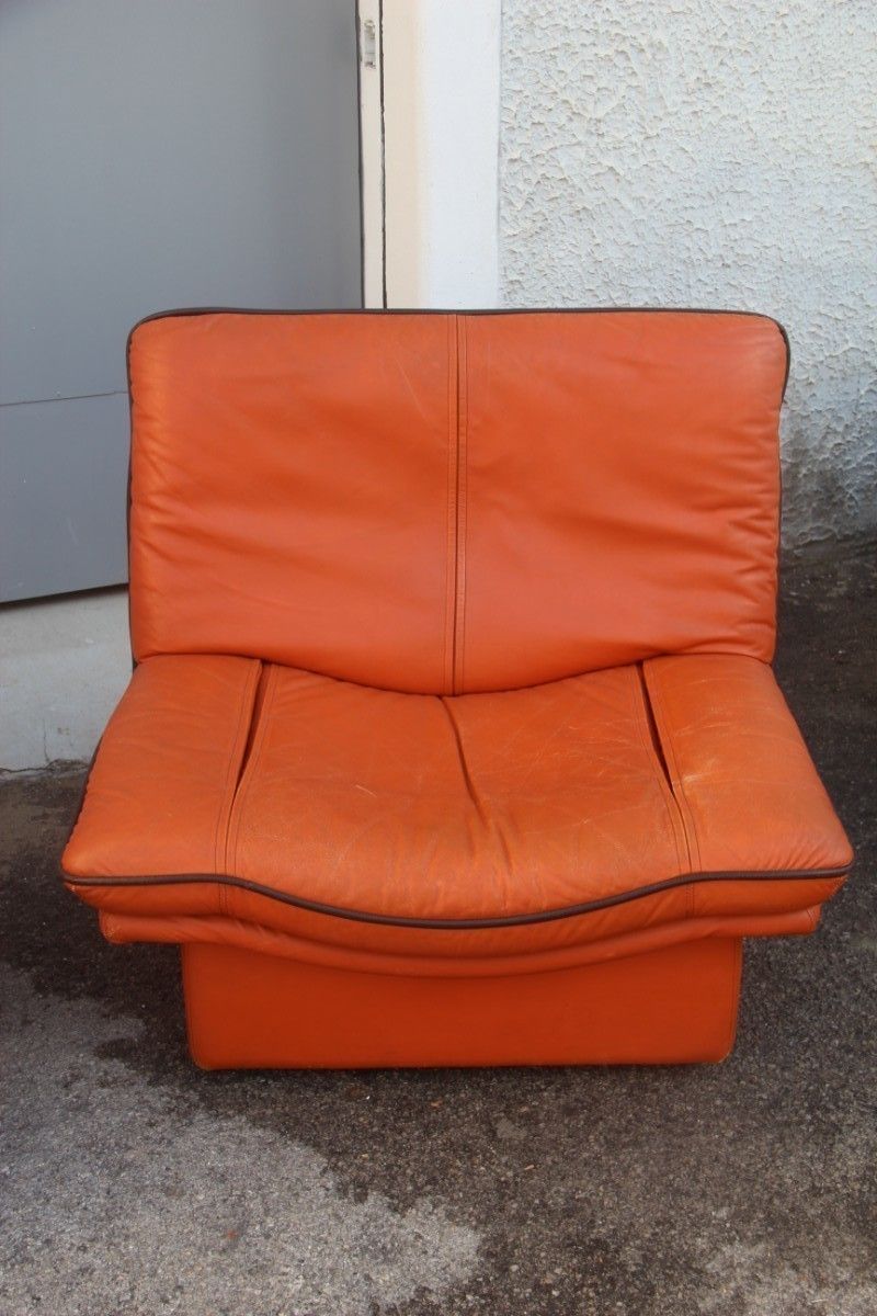 Living Room Seat Italian Design 1980s Leather Particular Form Lev&Lev Production Mod. Gabbiano photo buy