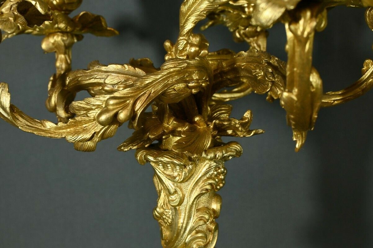 photo vinterior Bronze Candelabra After Ja.Meissonnier, Rocaille Style, Napoleon III Period – Mid 19th Century