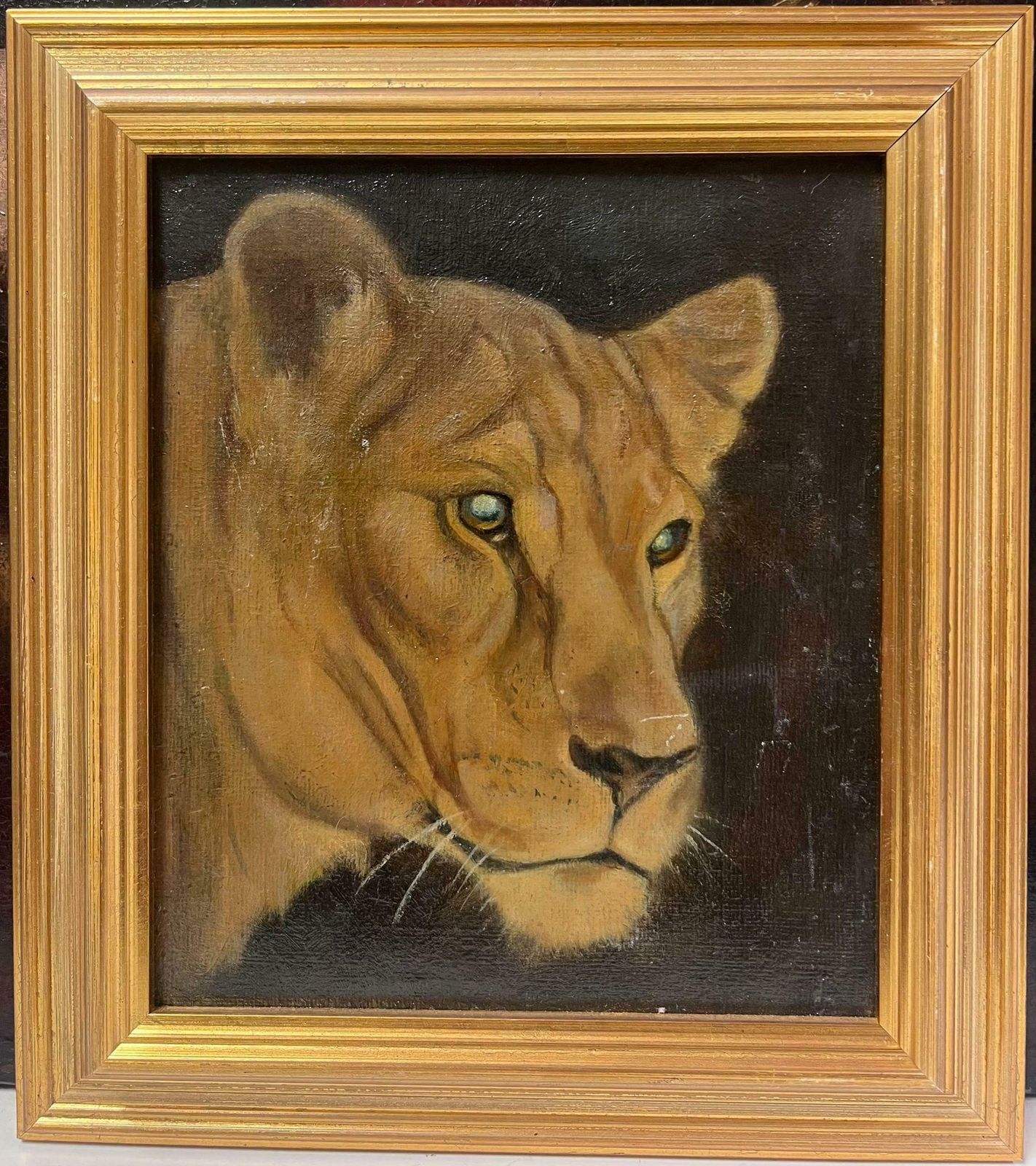 1930's English Artisthead Portrait Of A Lioness Fine British 1930's Oil Painting Gilt Framed1930's photo furniture