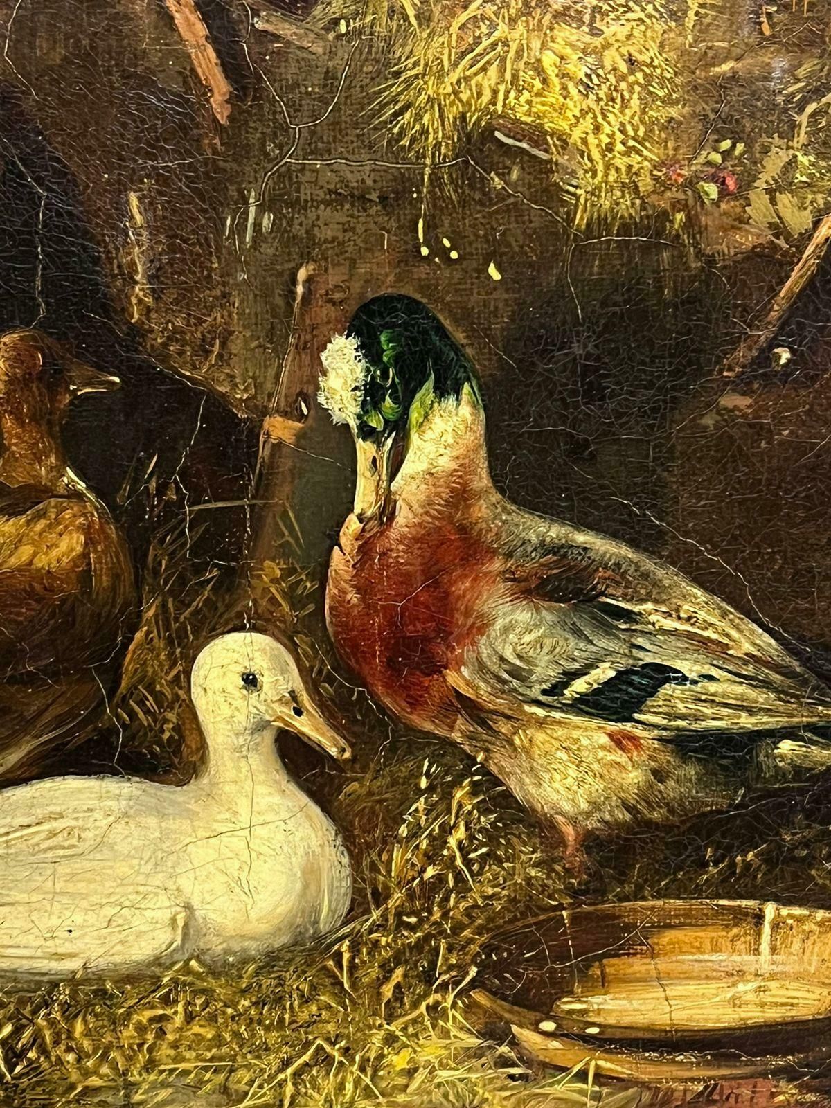 Victorian Oil Painting Ducks & Pigeon In Barn Interior Antique Oil Painting19th Century photo 1421.0