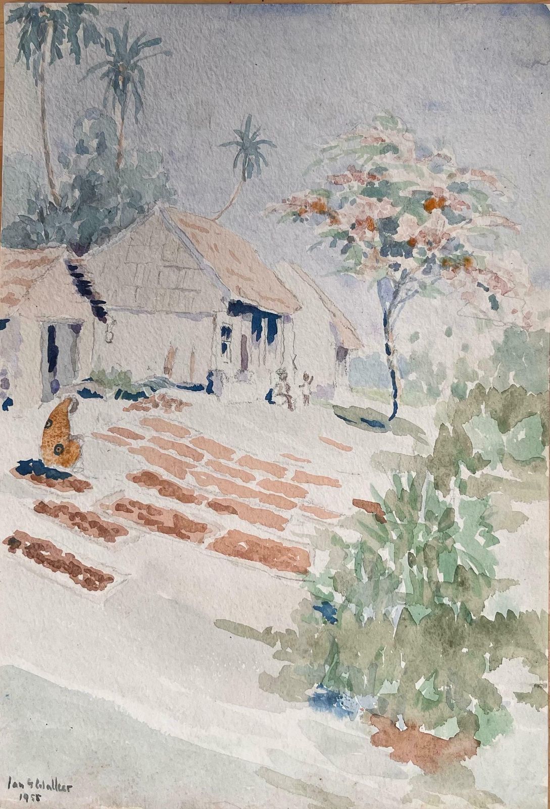 Ian G. Walkerfinely Detailed British Watercolor Of Cloves Drying North  Of Zanzibar Town1955
