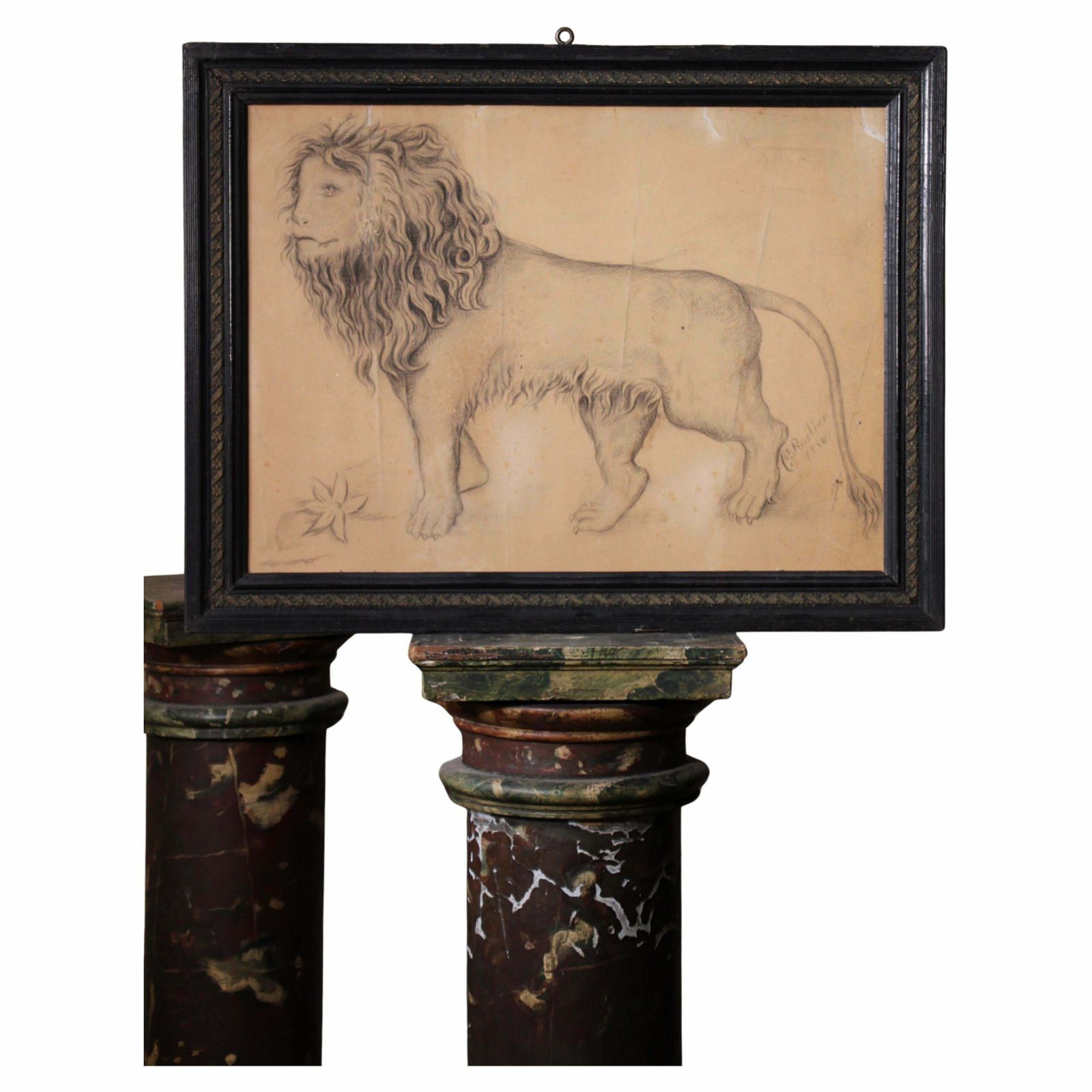 French Late 19th C Large Anthropomorphic Pencil Drawing Of Lion 1886 Taxidermy