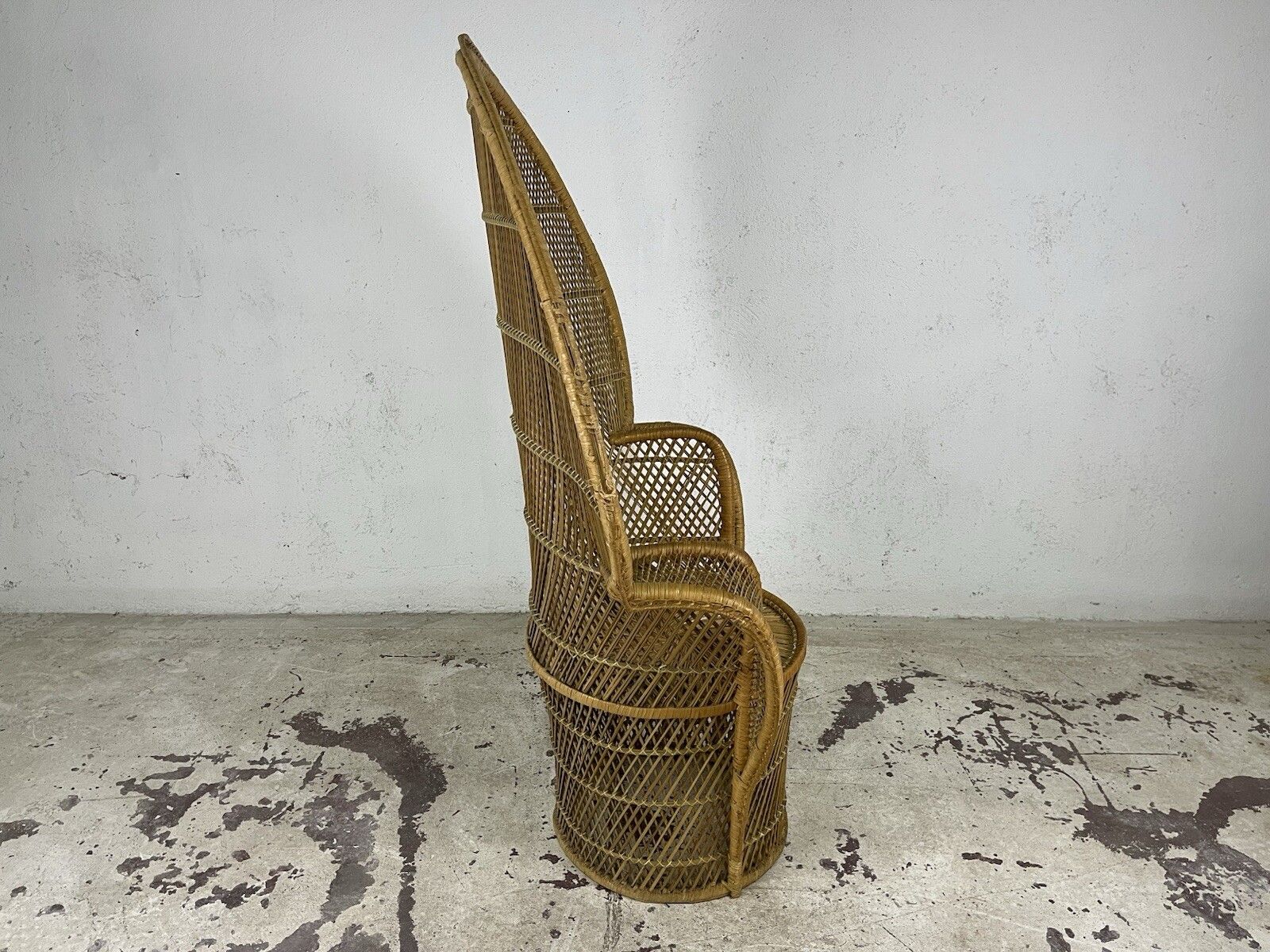 Furniture Emanuelle Pavone Wimini Rattan Armchair 1960s Vintage Design photo