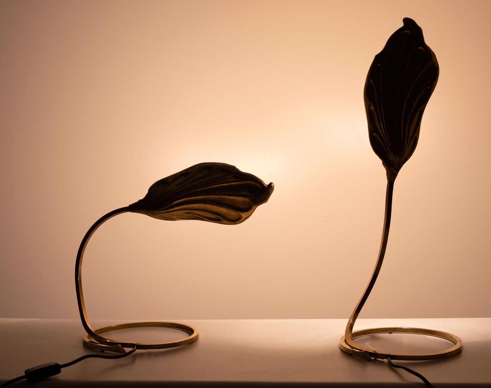 Pair Brass Leaf Table Lamps Design By Carlo Giorgi & Tommaso Barbi 1970s photo buy