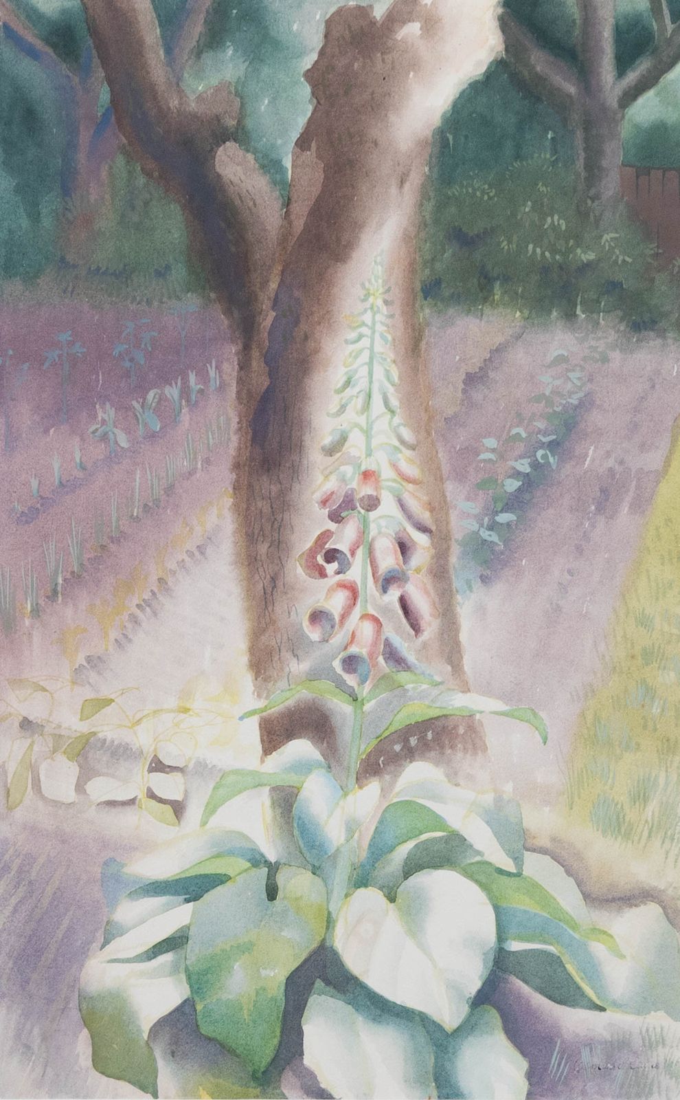 Osmund Caine (1914 2004) 1949 Watercolour, Foxgloves photo furniture