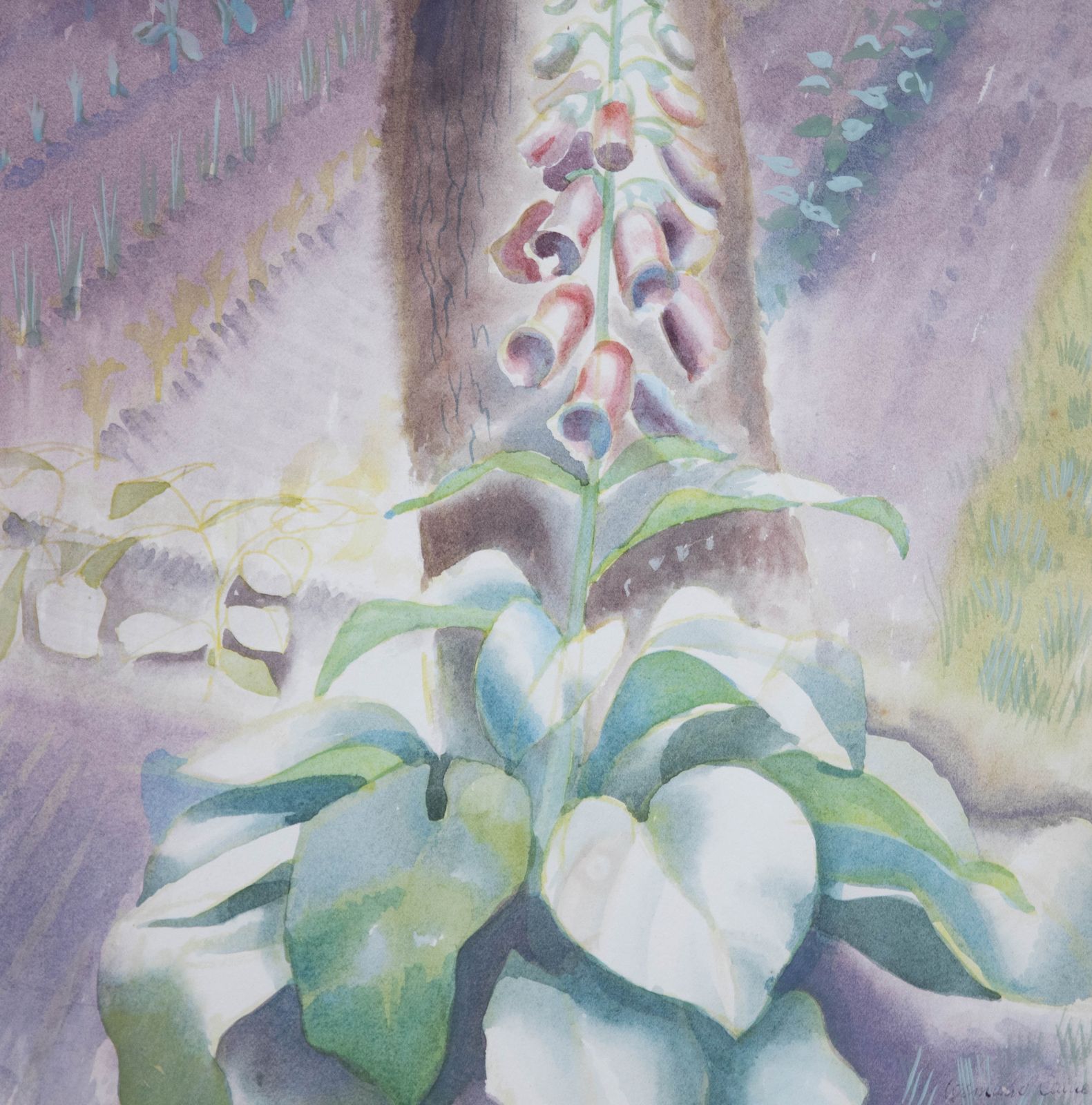 Osmund Caine (1914 2004) 1949 Watercolour, Foxgloves photo Art