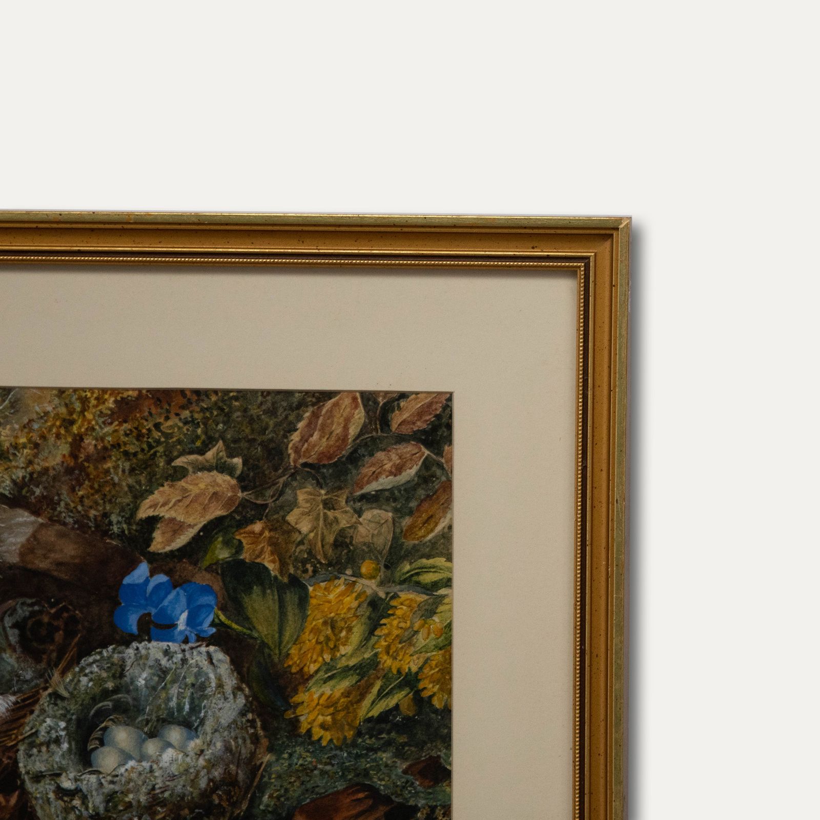 Circle Of Oliver Clare (1853 1927) Framed Watercolour, The Sparrow's Nest photo 234.0