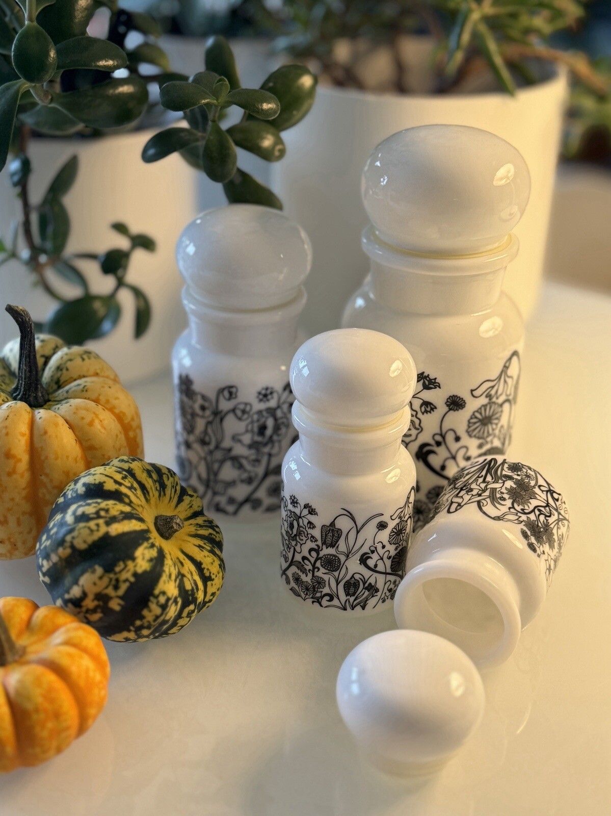 Set Of 5 1970s White Milk Glass Flower Design Bubble Lid Jars Made In Belgium