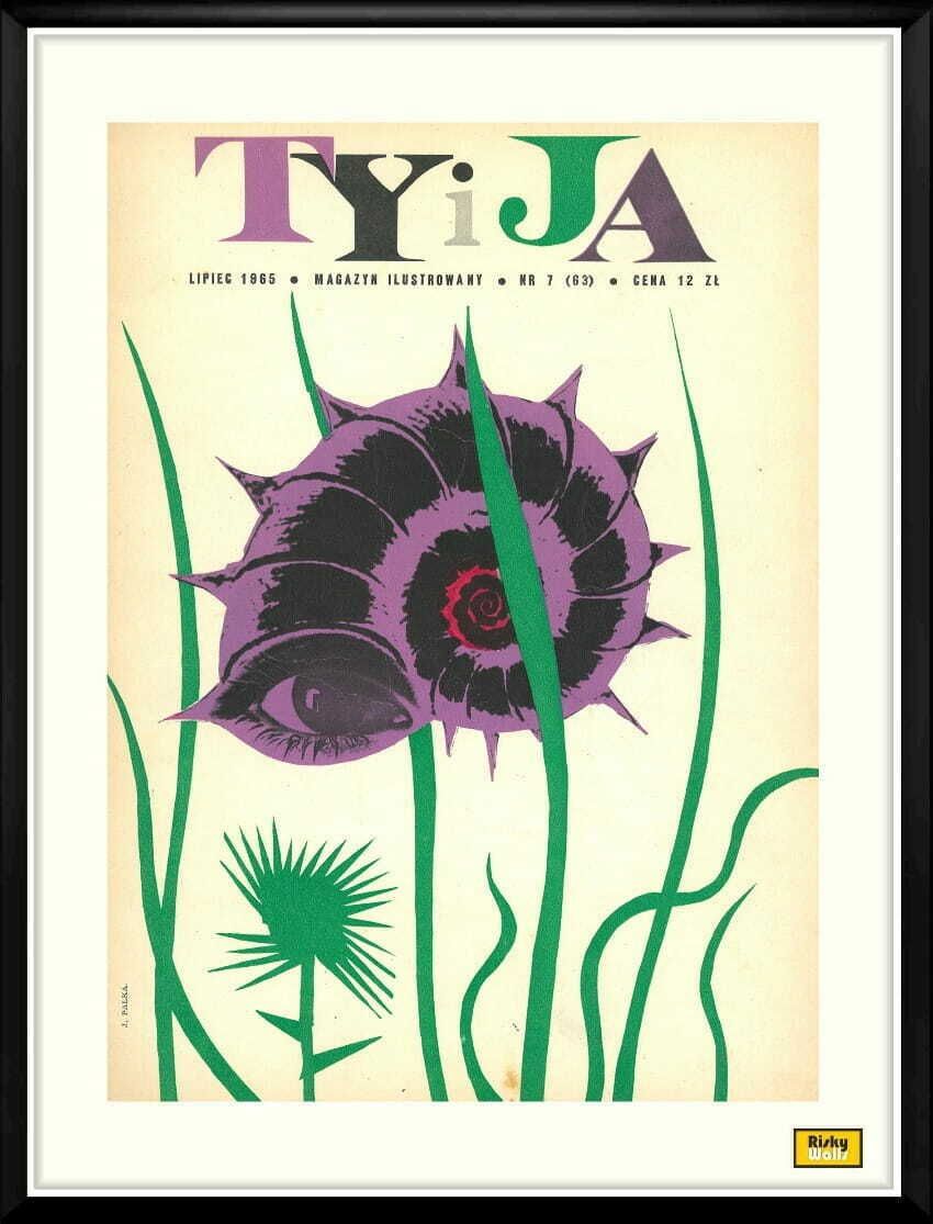 Framed Cover Of The Monthly Magazine Ty I Ja, 07/1965, Author: Julian Pałka