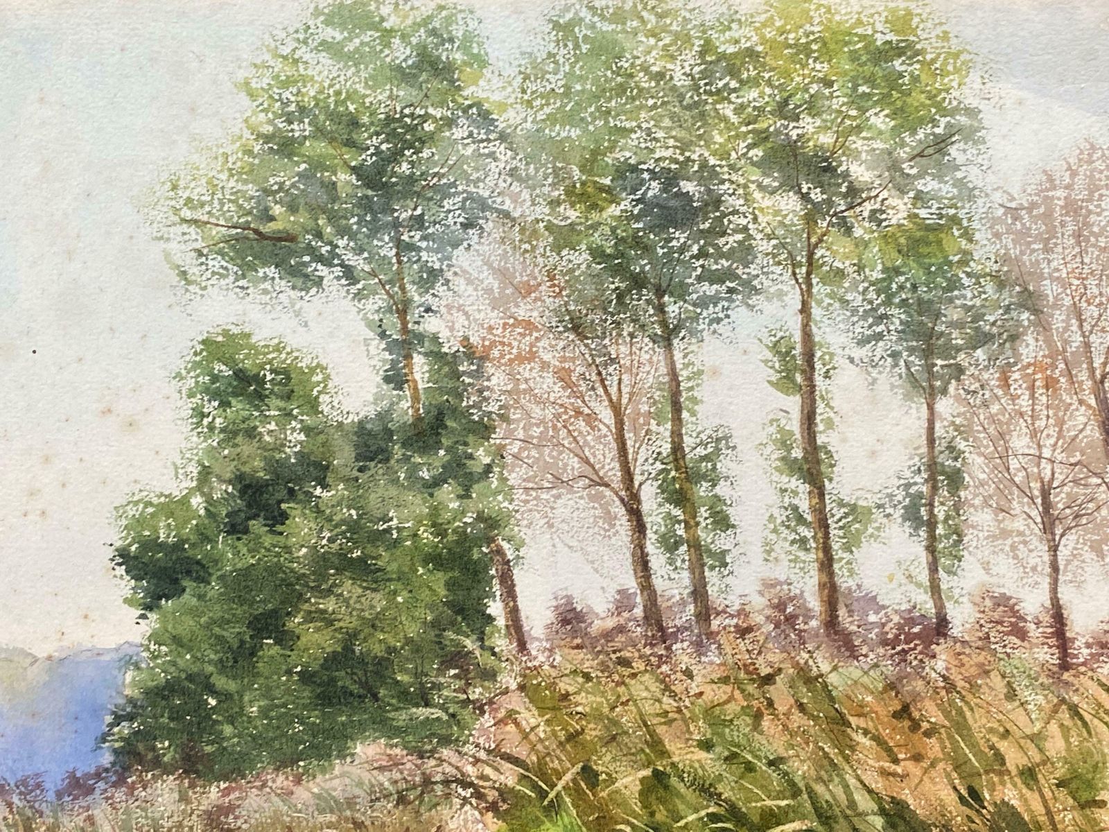 French Impressionistsigned Bright French Impressionist Watercolour Wispy Willow Trees River Landscap photo for sale