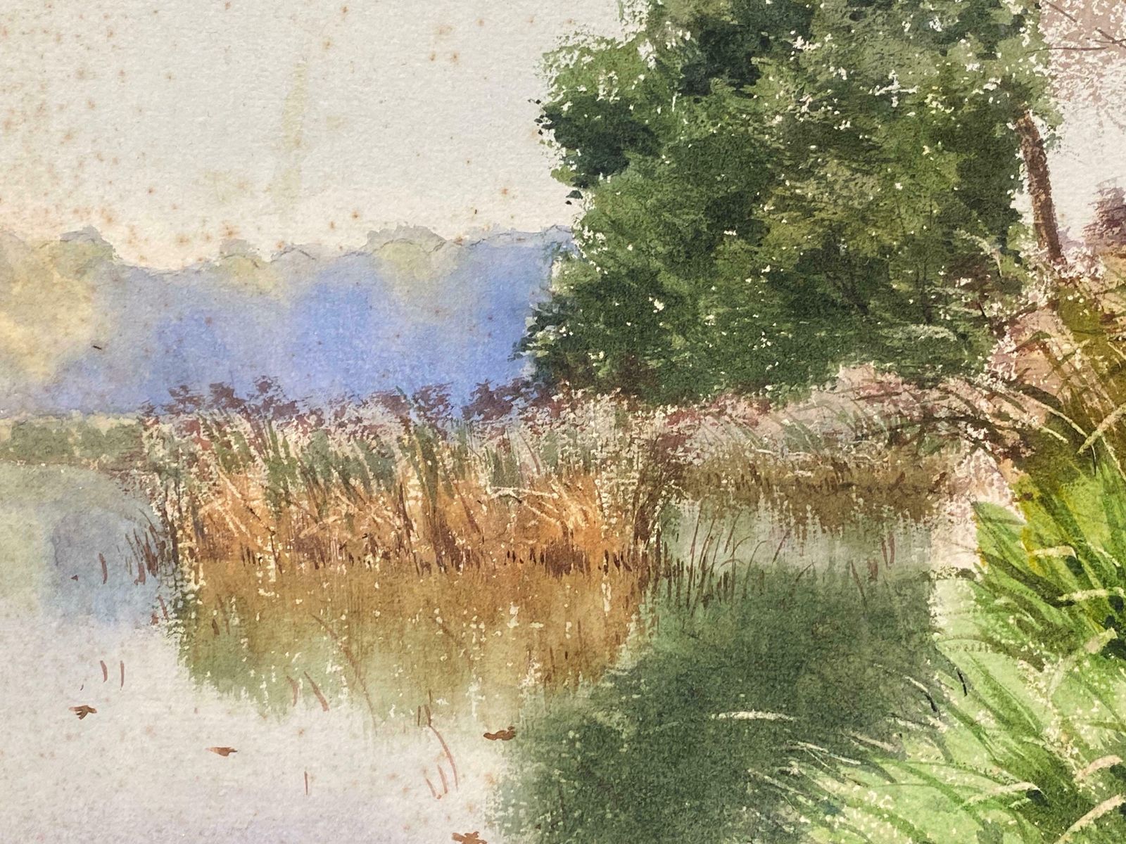 French Impressionistsigned Bright French Impressionist Watercolour Wispy Willow Trees River Landscap photo vinterior
