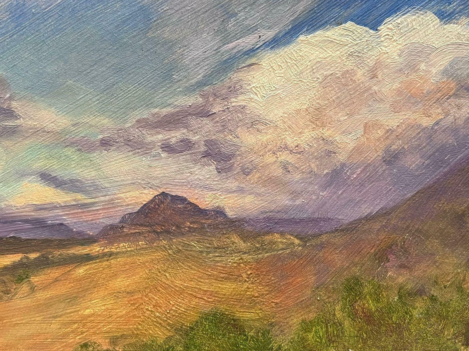 Geza Somerset Paddonnamibia South African Landscape Purple Cloudy Sky Over Fields, Signed Oil photo furniture