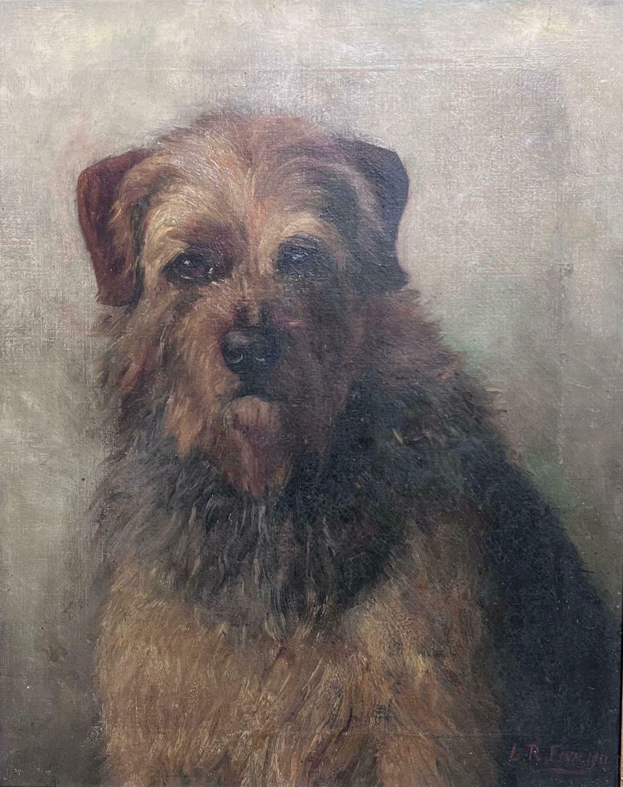 Leonard Richard Finnantique English Dog Painting Portrait Of Border Terrier Framed Oil Painting photo furniture