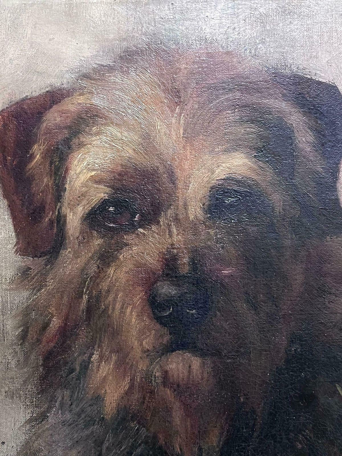 Leonard Richard Finnantique English Dog Painting Portrait Of Border Terrier Framed Oil Painting photo Art