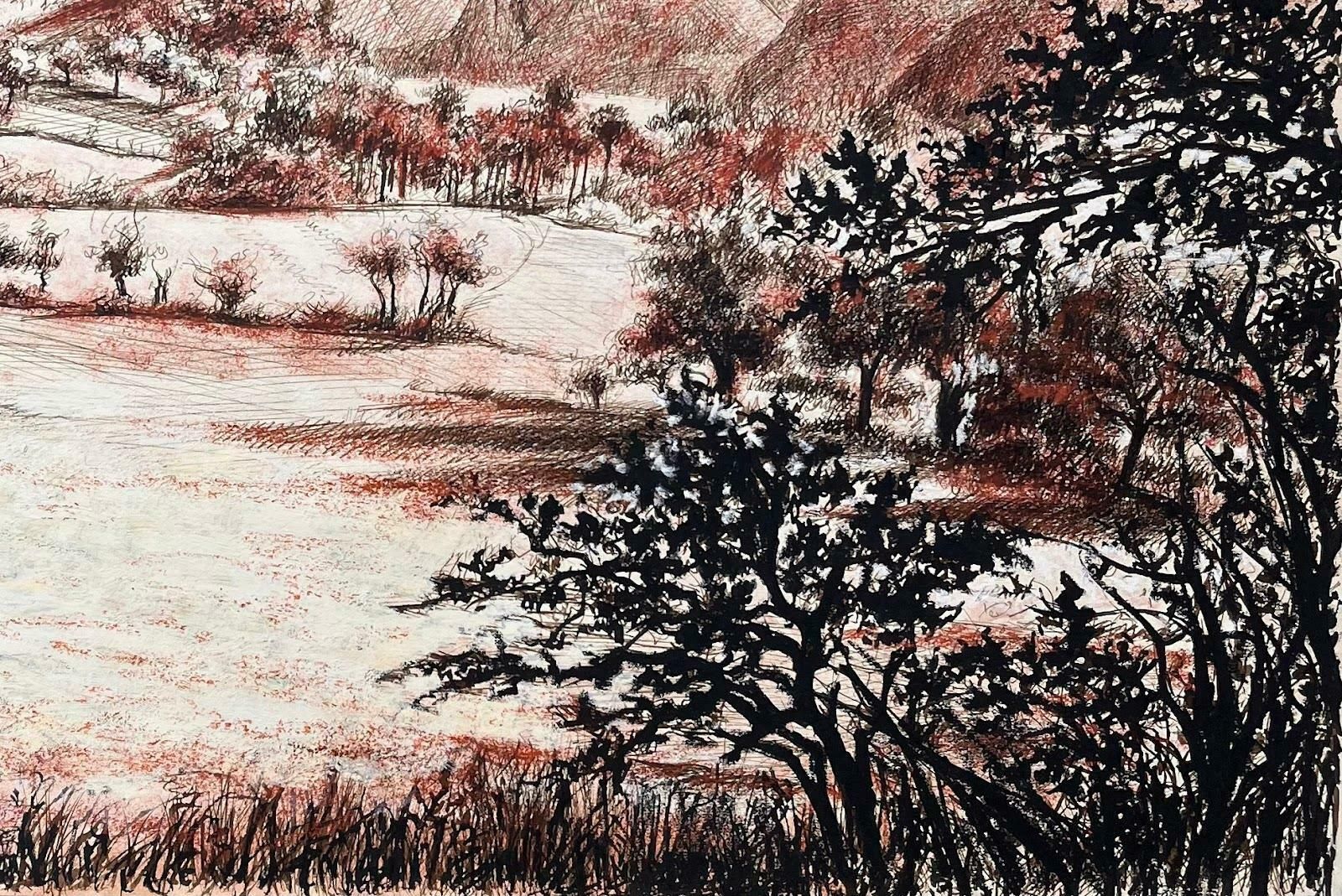 Josine Vignonmid Century French Original Pastel Drawing Of A Mountainous Landscape1950's photo Art