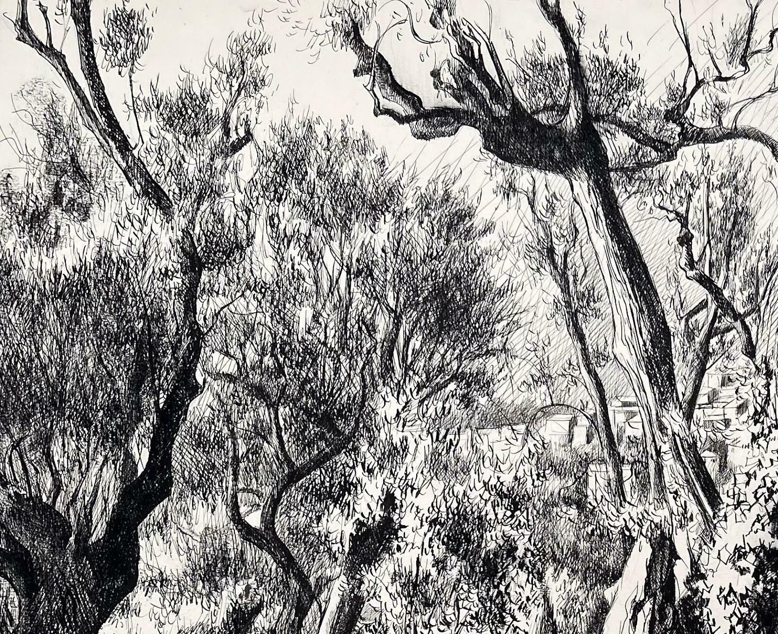 Josine Vignonmid Century French Original Ink Drawing   View Of Olive Trees & Hilltop Village1968 photo for sale