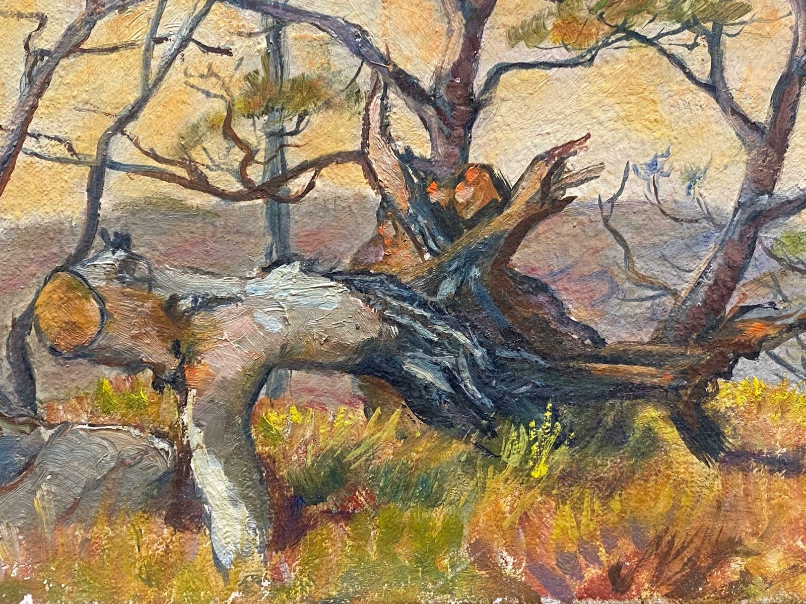 French 1950's1950's French Impressionist Signed Oil   Trees In Provencal Landscape1950's photo for sale