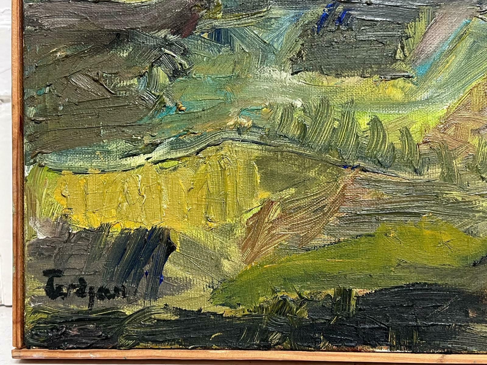 French School French Expressionist Sludgy Green & Brown Landscape Very Thick Oil Impasto photo for sale