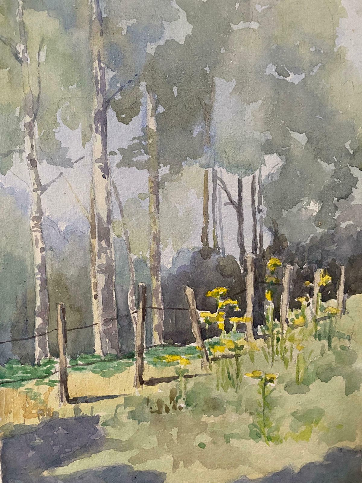 Unknown1900's English Impressionist Watercolor Painting Spring Fieldc. 1900's photo for sale