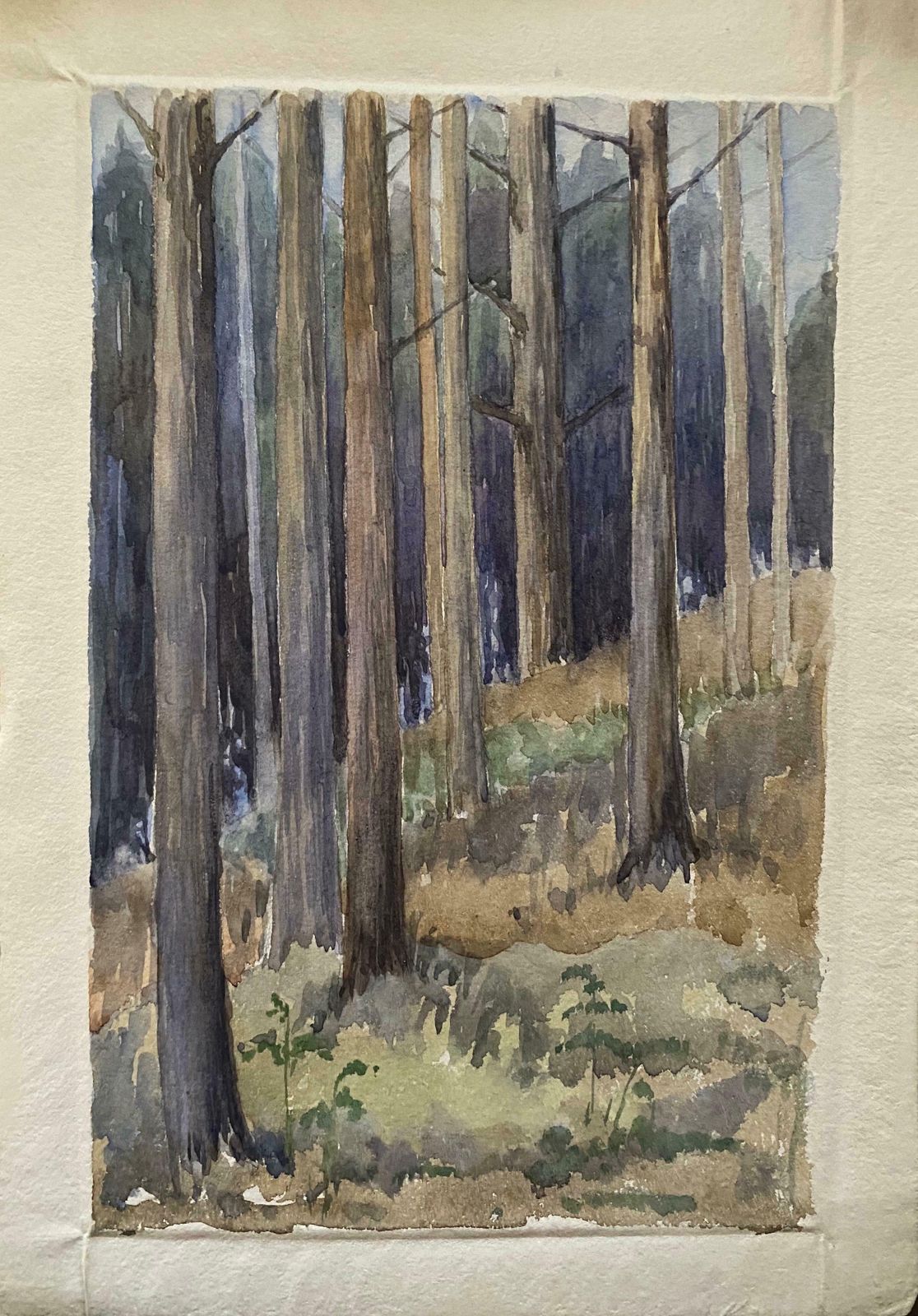 Unknown1900's English Impressionist Watercolor Painting Captivating Midnight Forestc. 1900's photo furniture