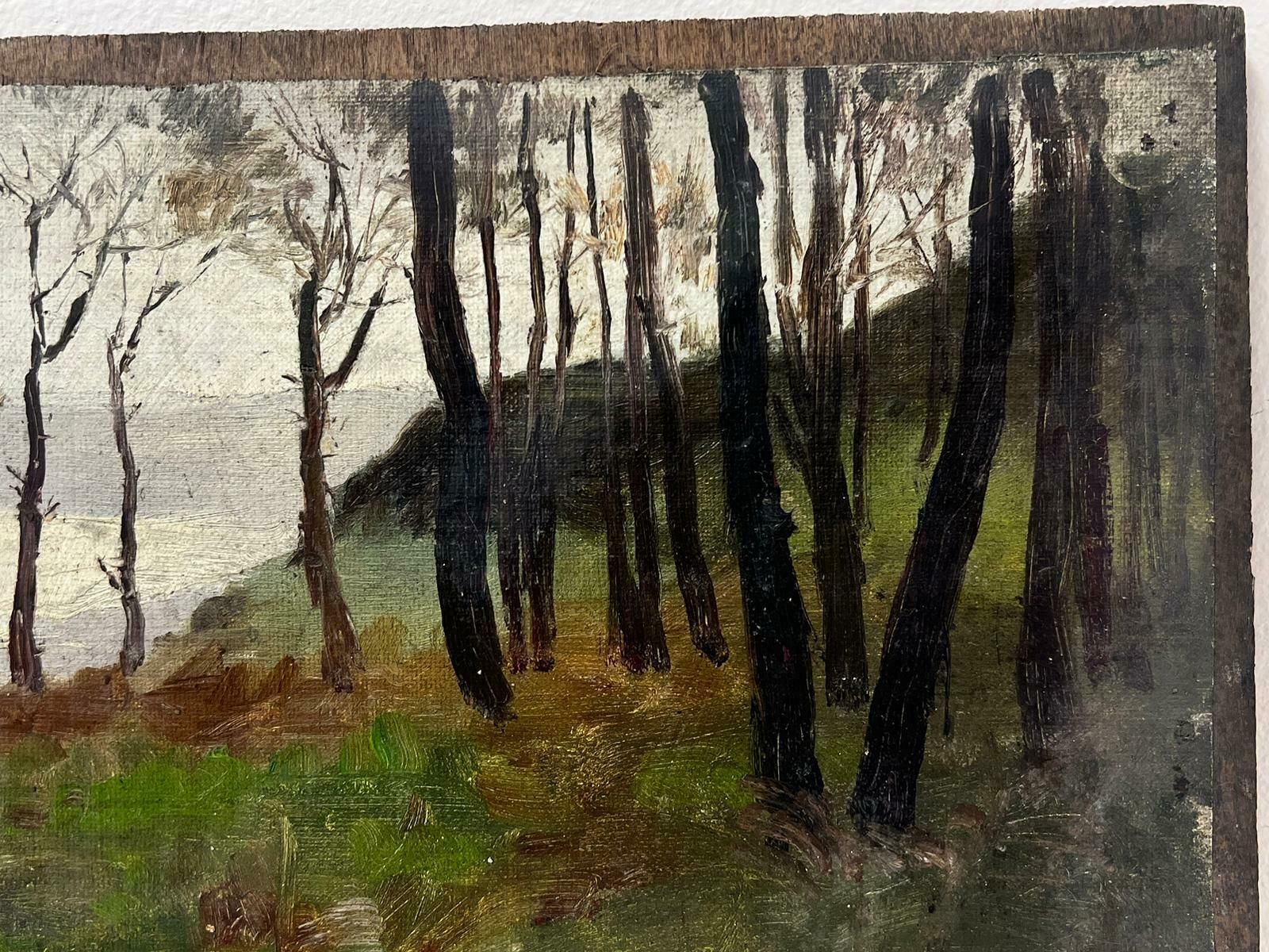 French Schoolatmospheric French Impressionist Oil Painting Early 20th Century Woodland Lake photo for sale