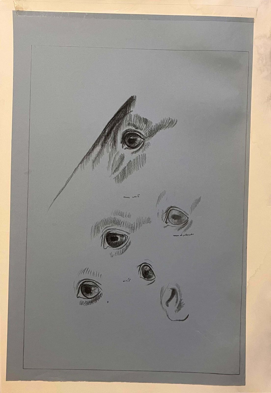 Robert Ladouoriginal French Anatomical Pencil Study Of A Horse's Eye's And Nose20th Century