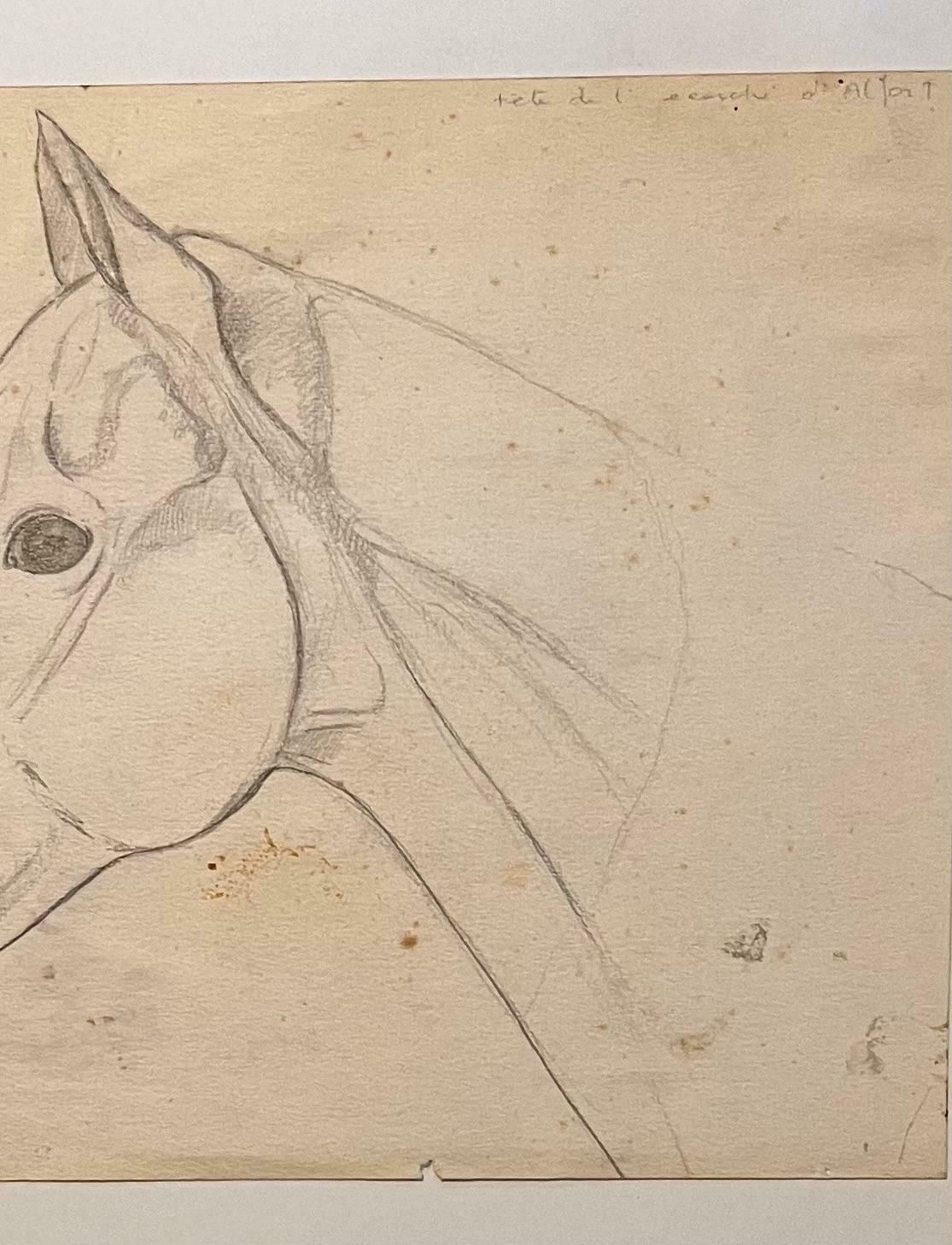 Robert Ladouoriginal French Anatomical Pencil Study Of Horse's Head20th Century photo Art