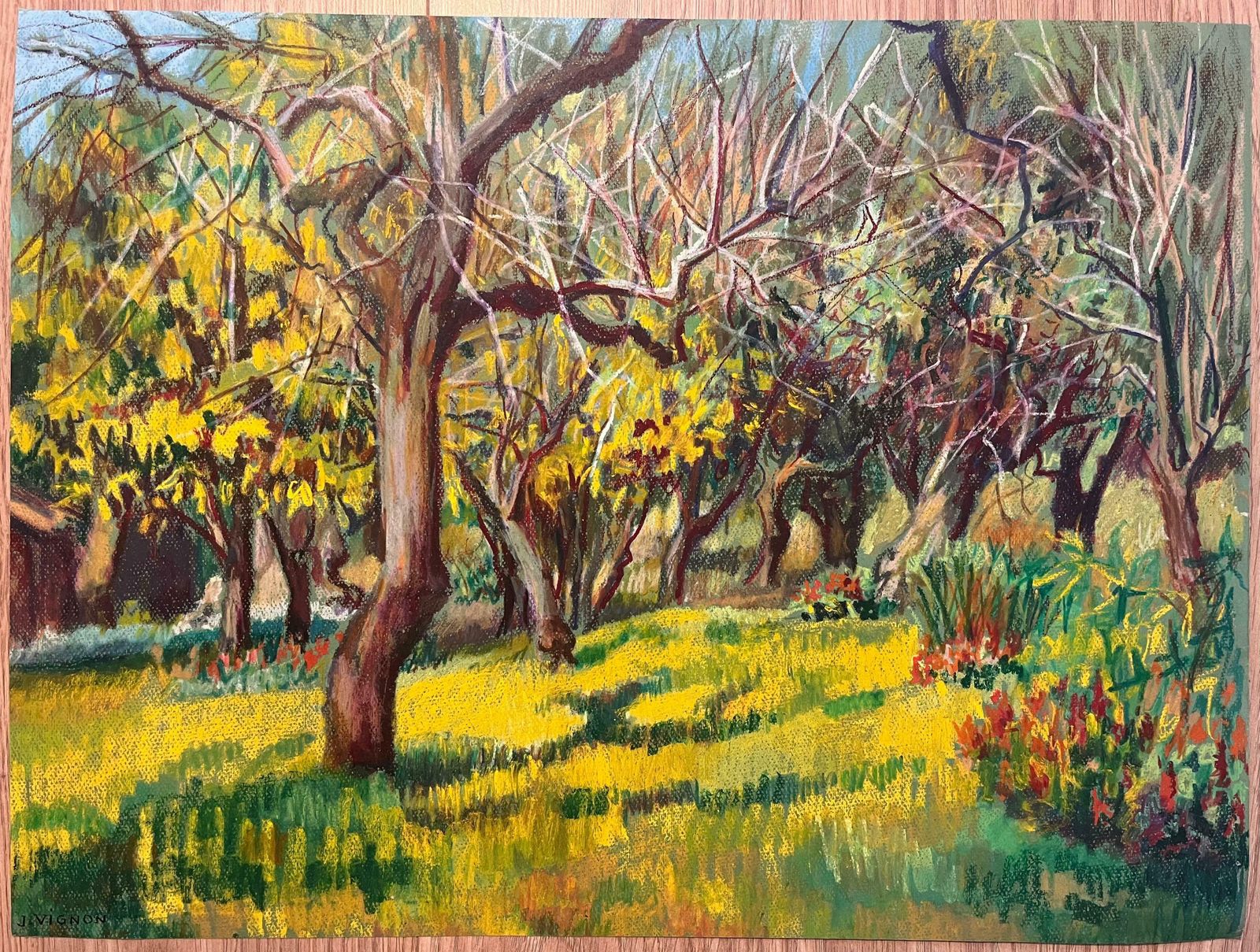 Josine Vignonmid Century French Original Pastel Painting Of Vibrant Sun Drenched Orchard1950's photo furniture