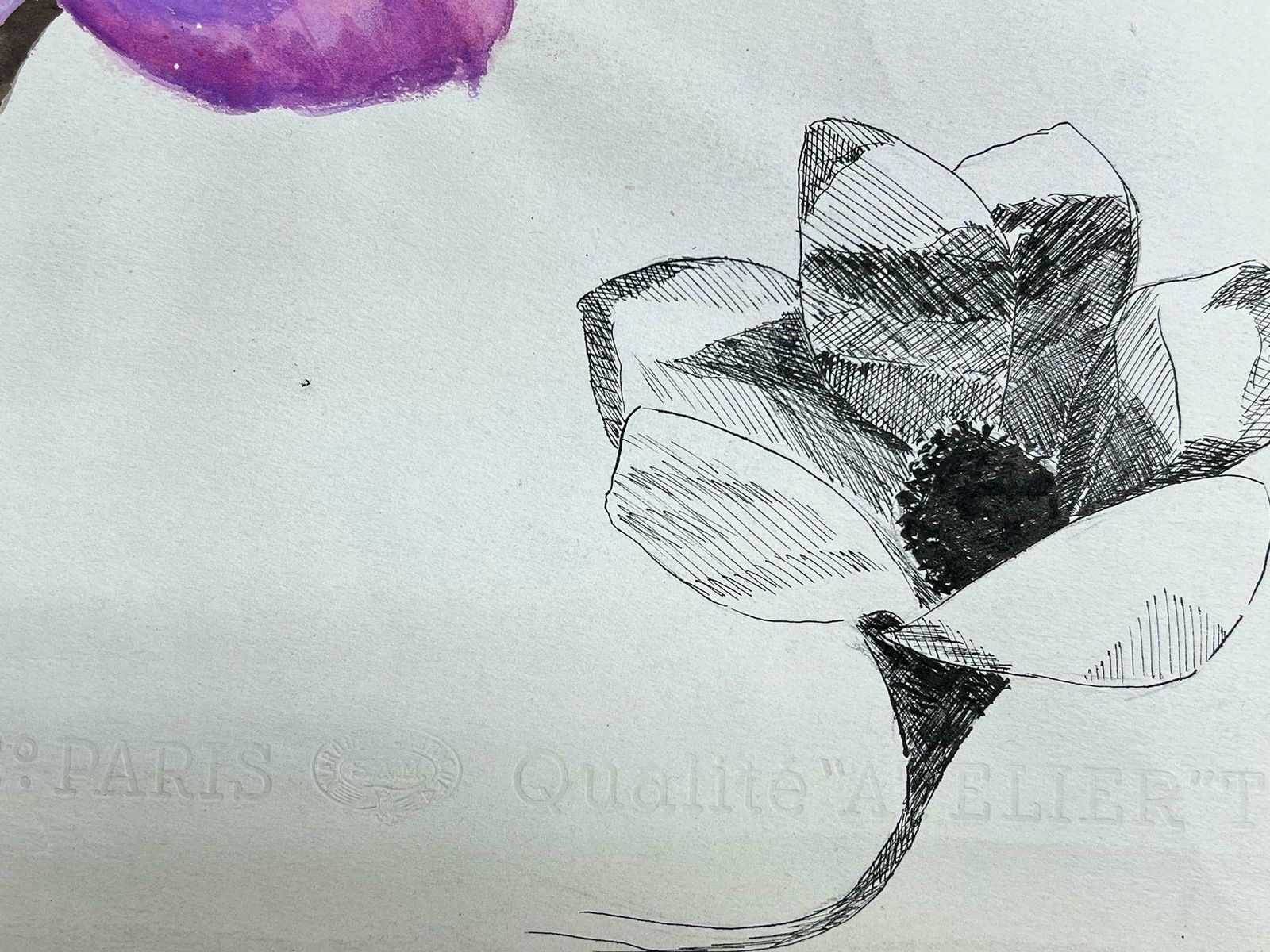 Josine Vignonmid Century French Illustration Sketch Of A Vibrant Purple Peony Flower1960's photo furniture