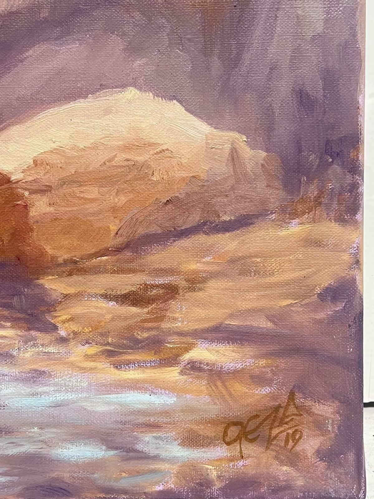 Geza Somerset Paddoncrumbling Layered Rocks Into Lake Contemporary British Oil Painting Canvas photo for sale