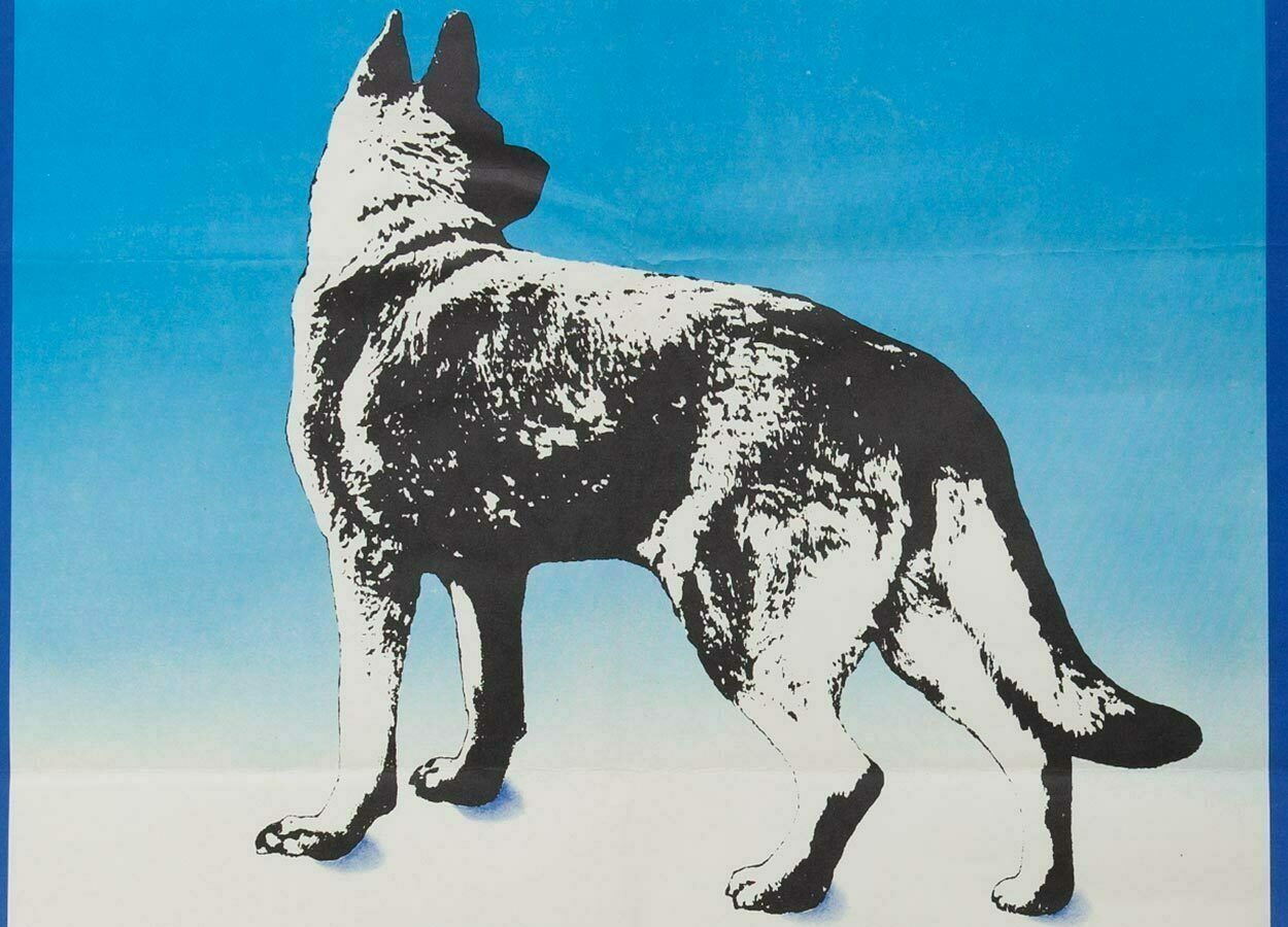 Movie Poster, White Fang, Adéla Jakabová, 1977 photo vinterior